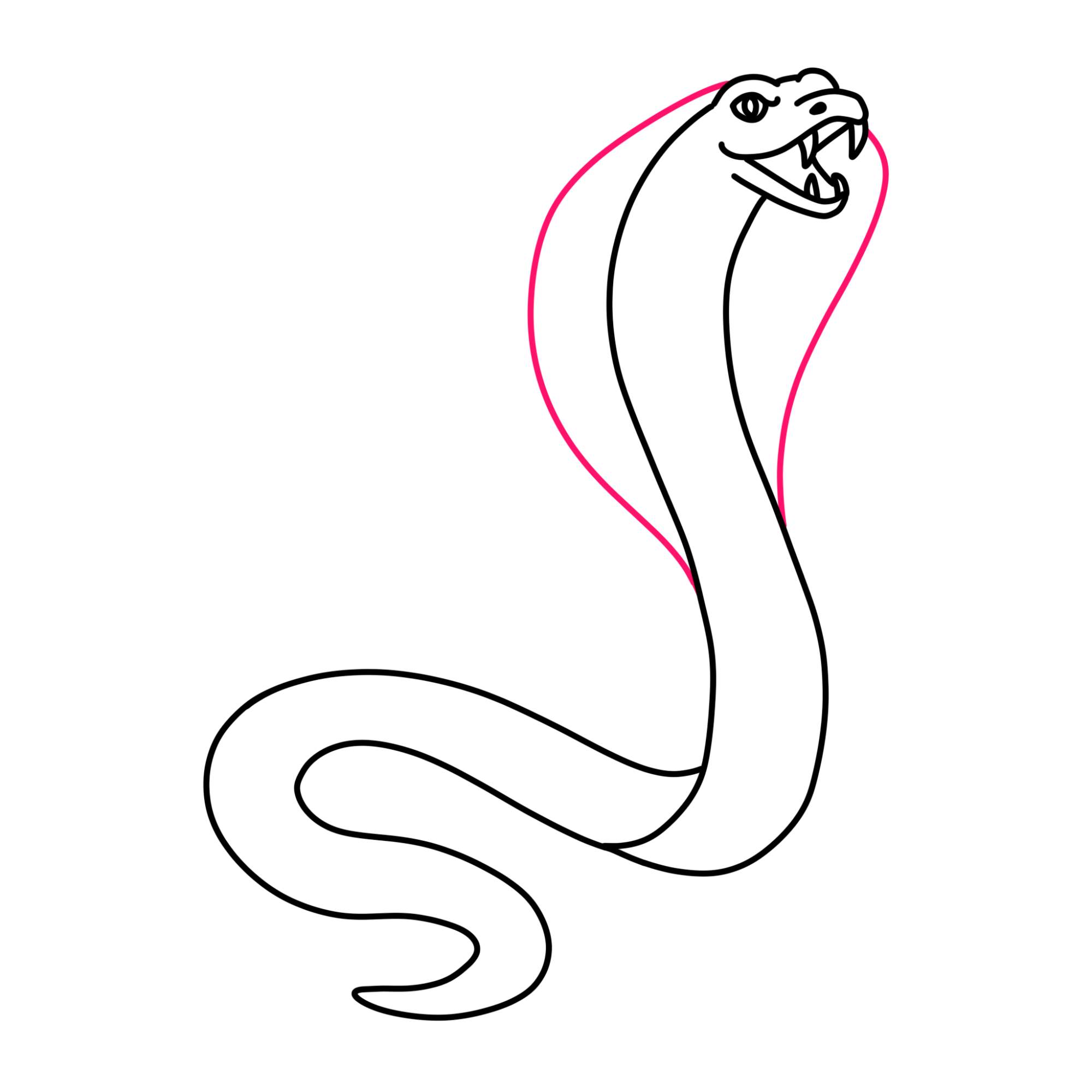 How to Draw a Cobra - Step-10