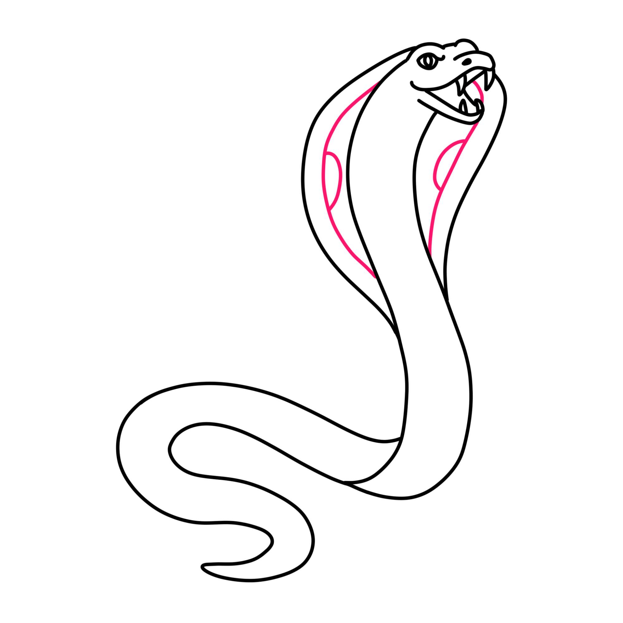 How to Draw a Cobra - Step-11