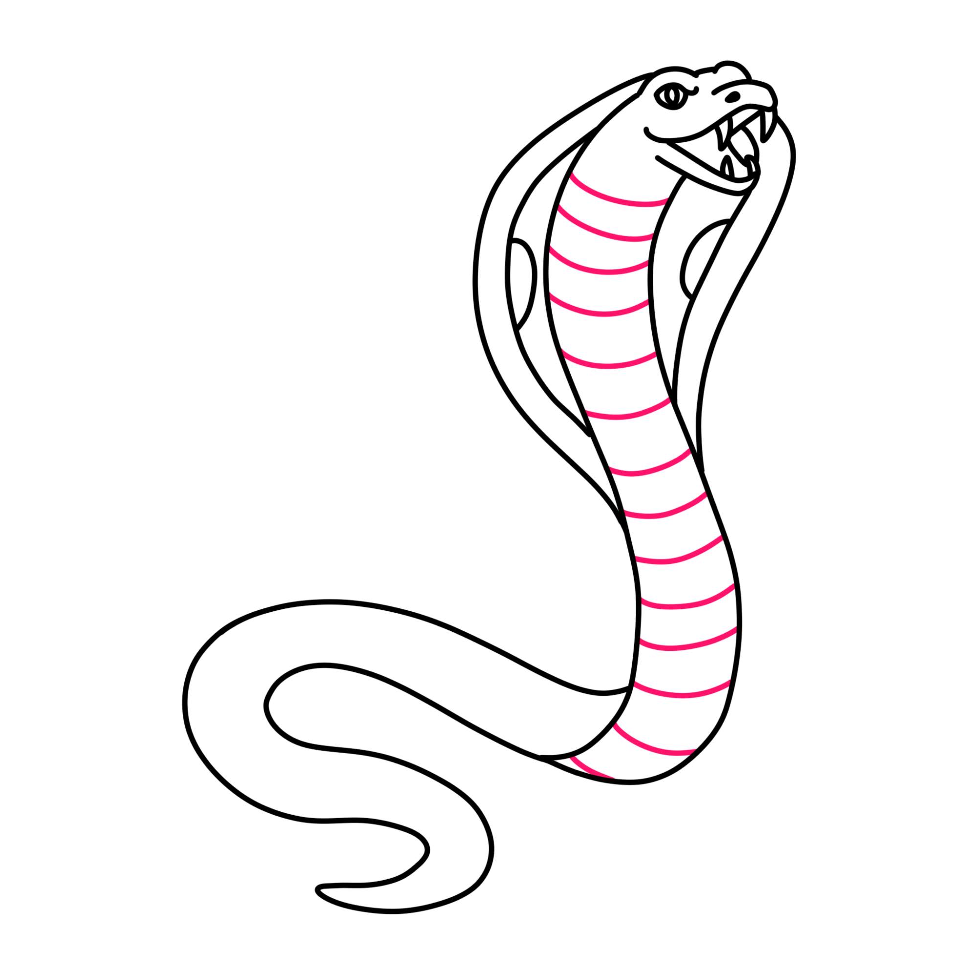 How to Draw a Cobra - Step-12