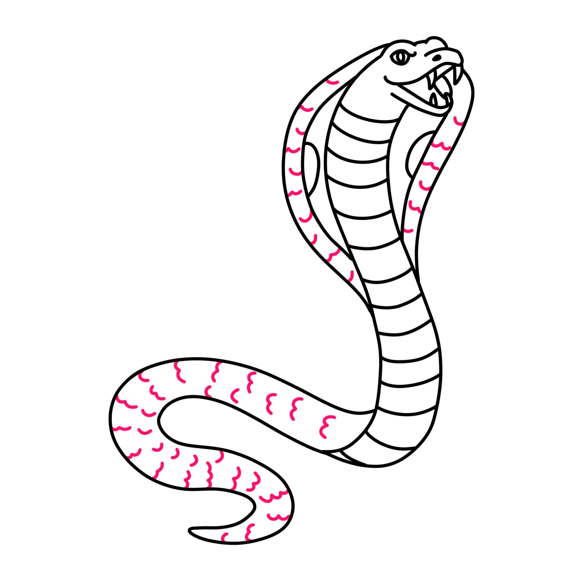 How to Draw a Cobra - Step-13