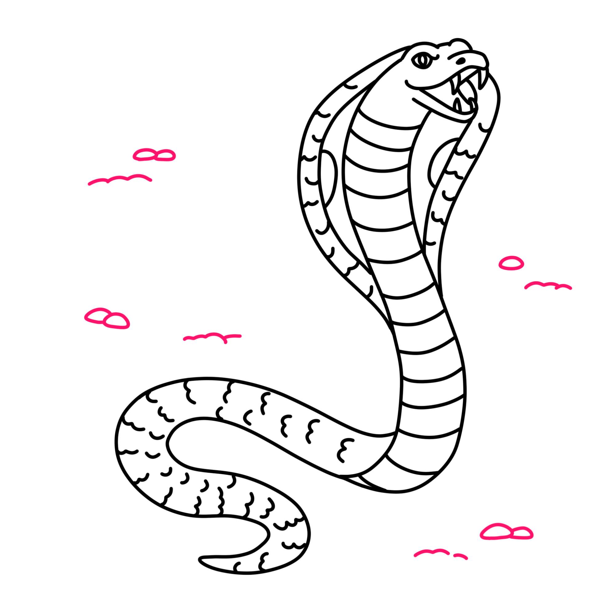 How to Draw a Cobra - Step-14