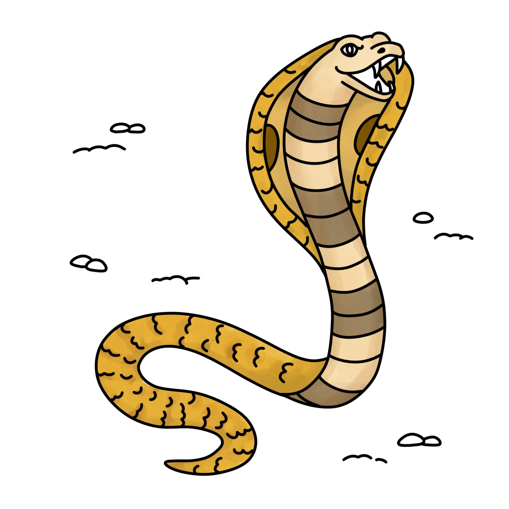 How to Draw a Cobra - Step-16