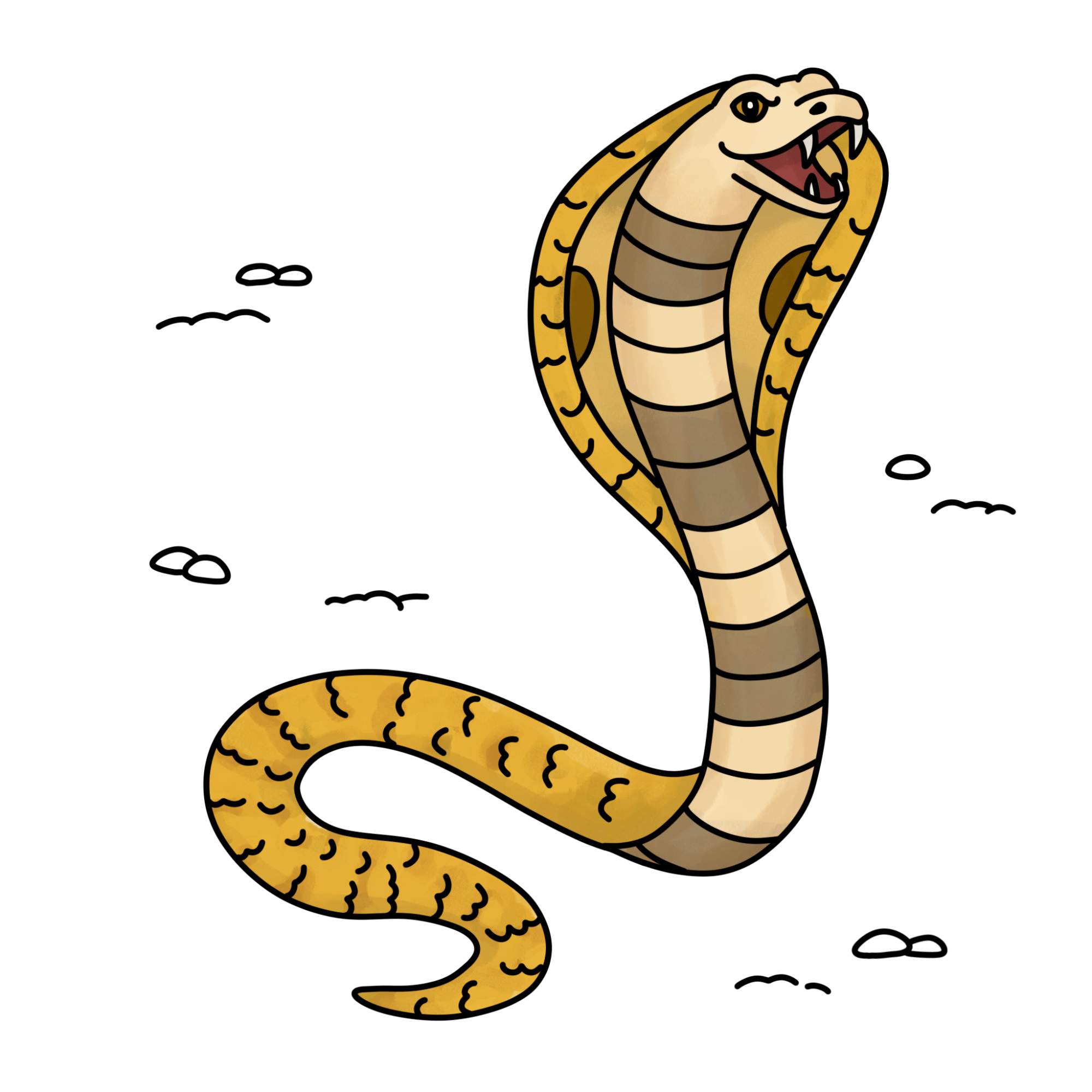 How to Draw a Cobra - Step-17