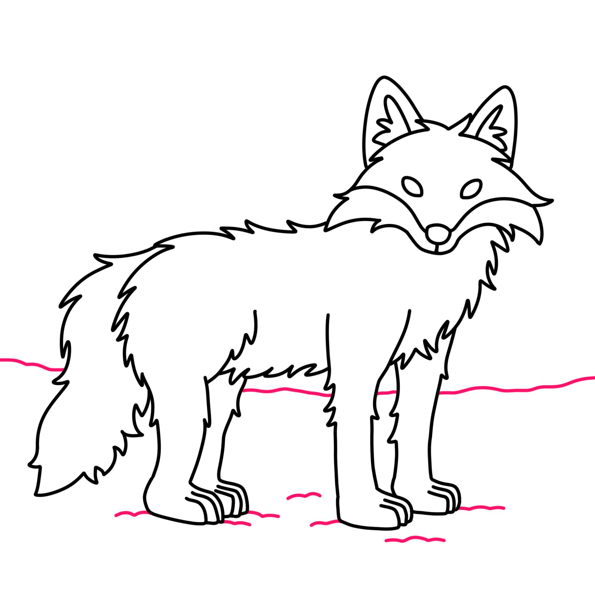 How to Draw a Fox - Step-10