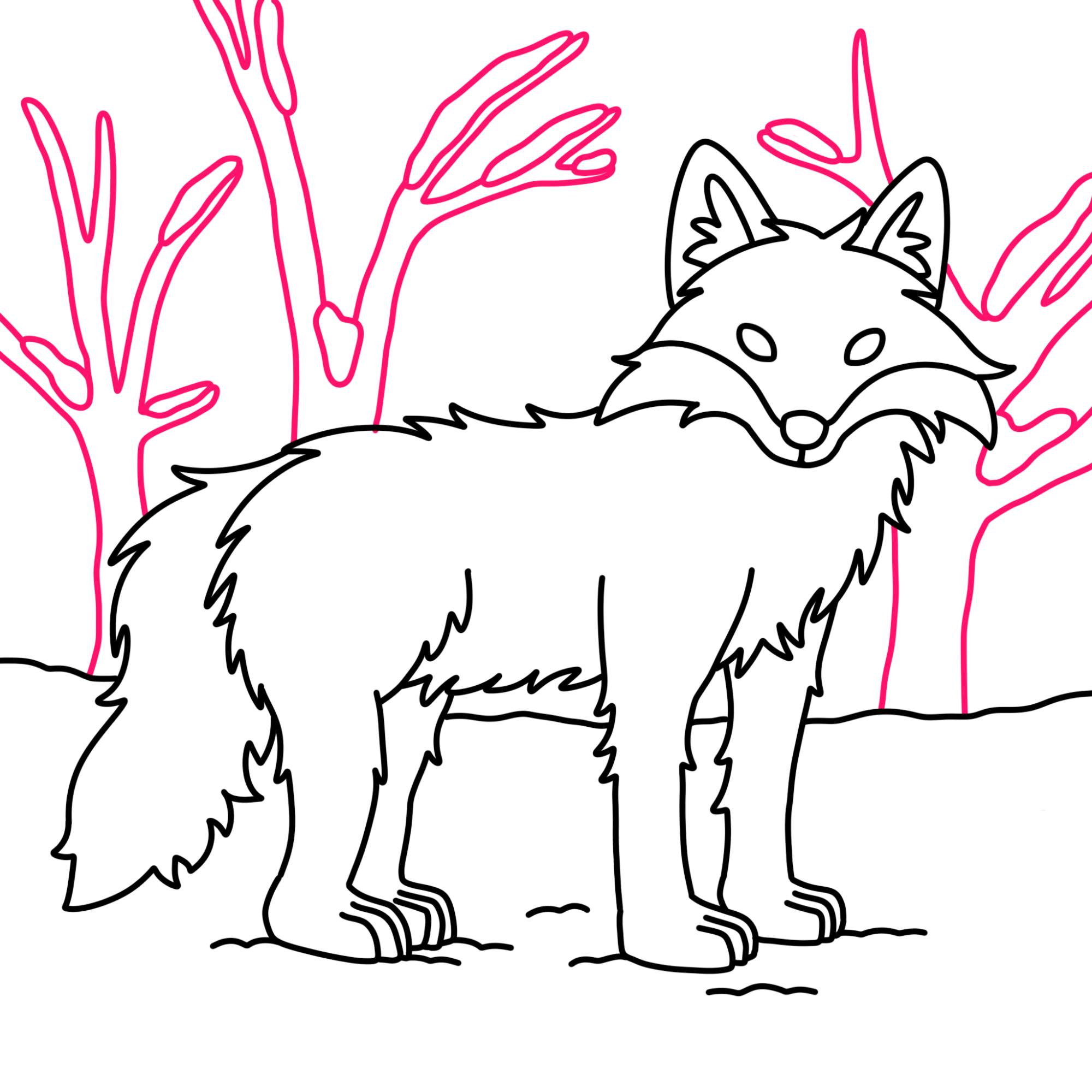 How to Draw a Fox - Step-11