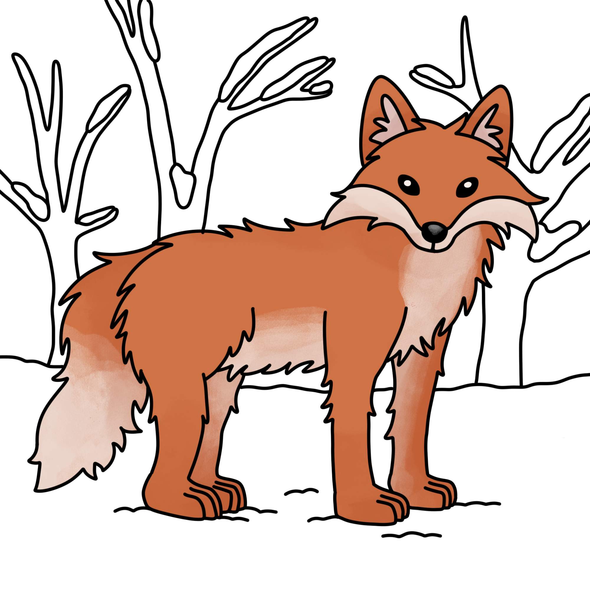 How to Draw a Fox - Step-13