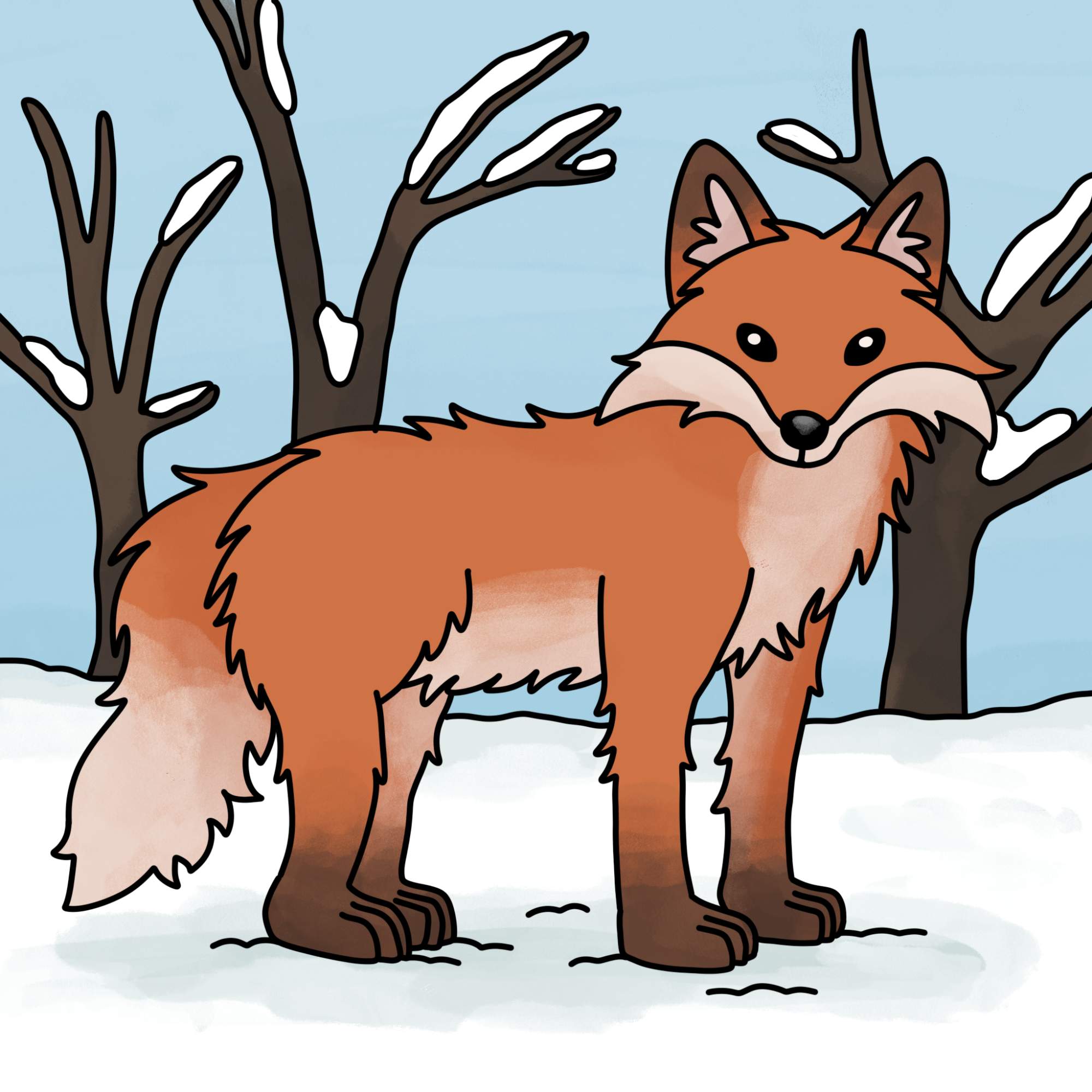 How to Draw a Fox - Step-15