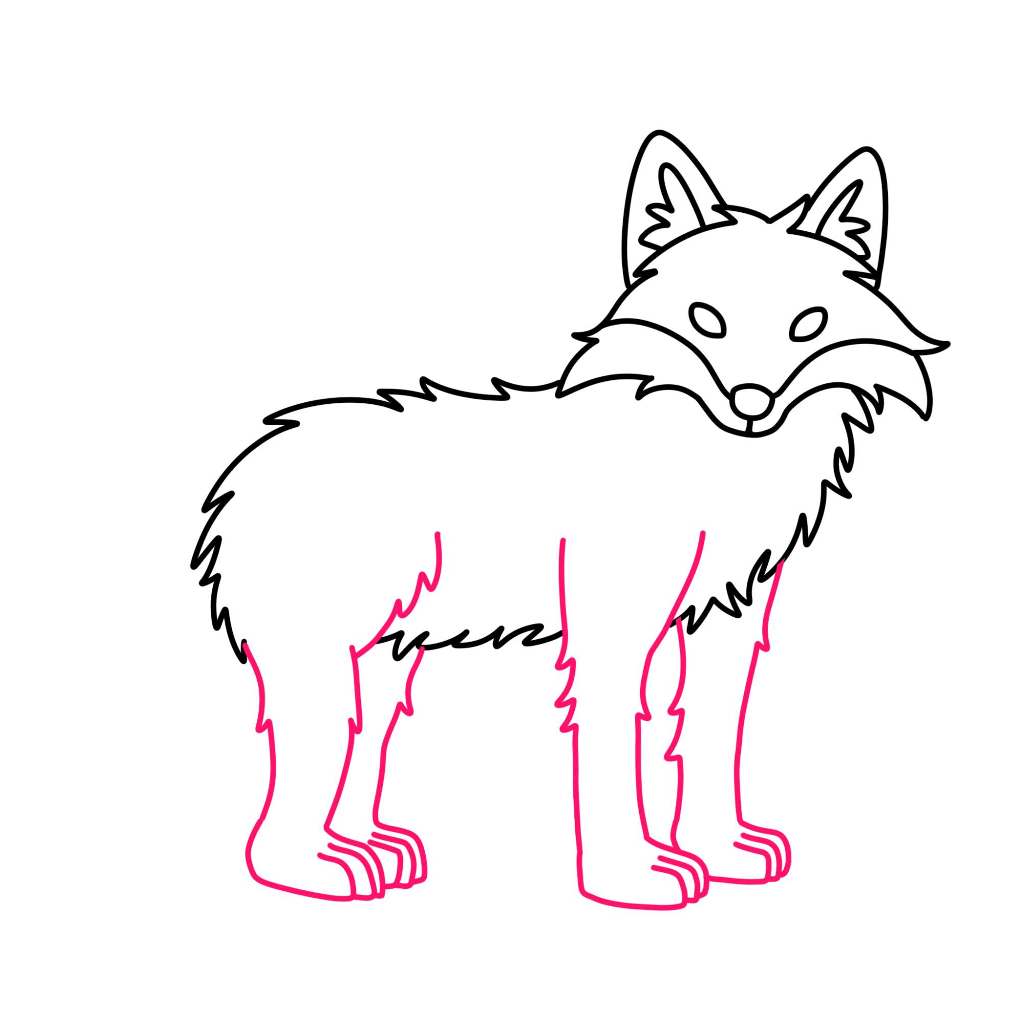 How to Draw a Fox - Step-8