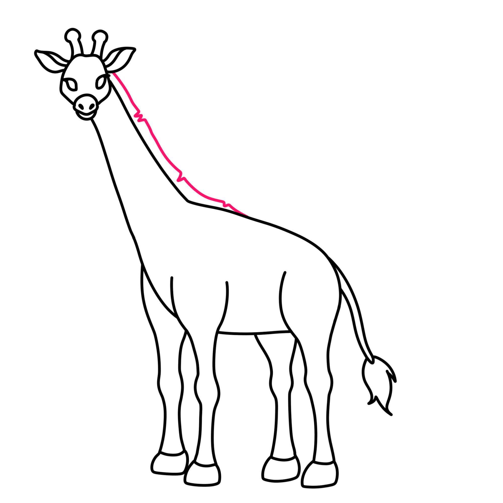 How to Draw a Giraffe - Step-10