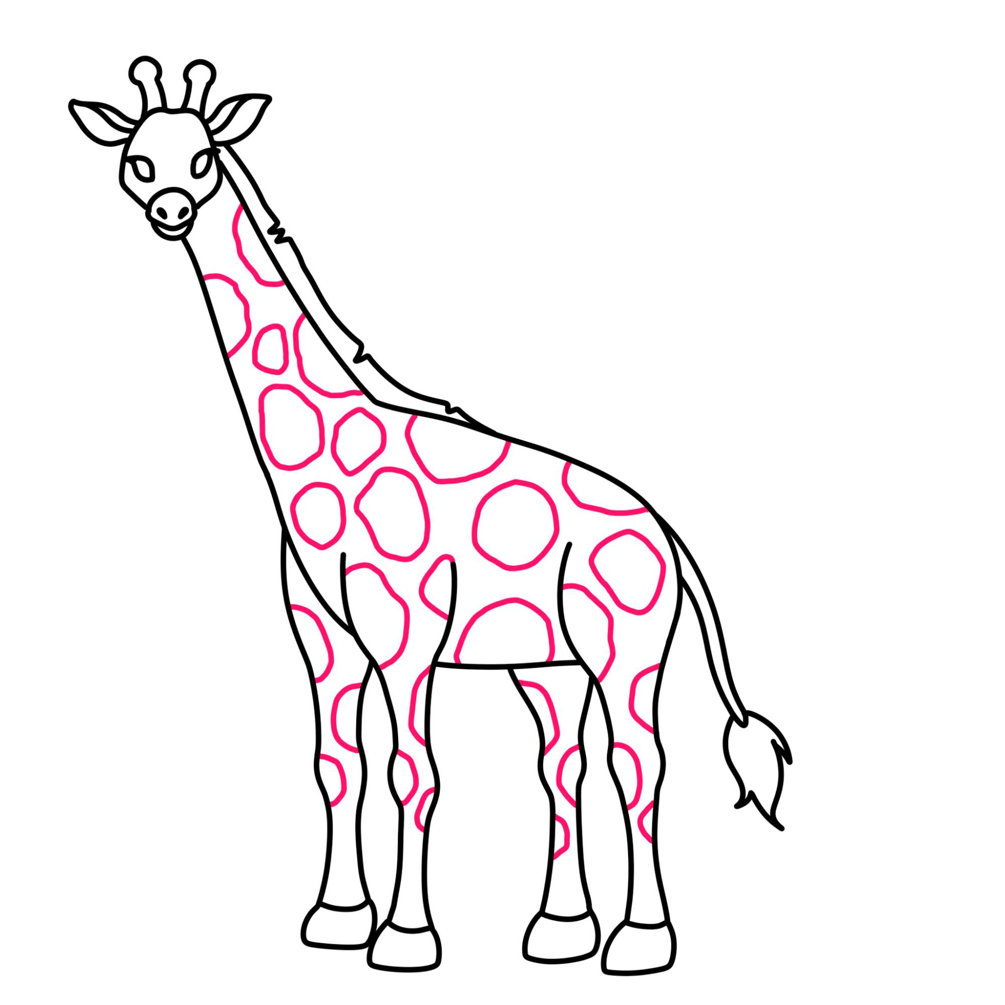 How to Draw a Giraffe - Step-11