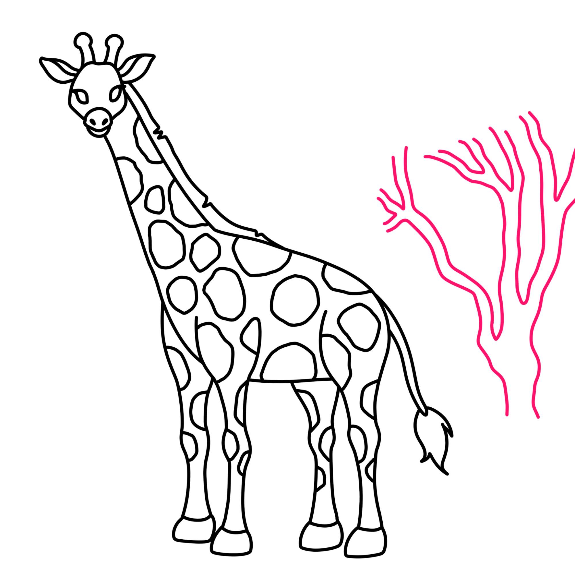 How to Draw a Giraffe - Step-12