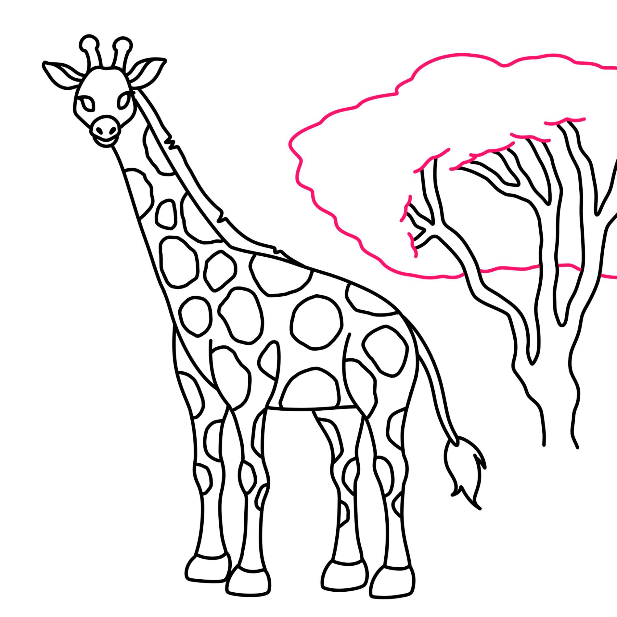 How to Draw a Giraffe - Step-13