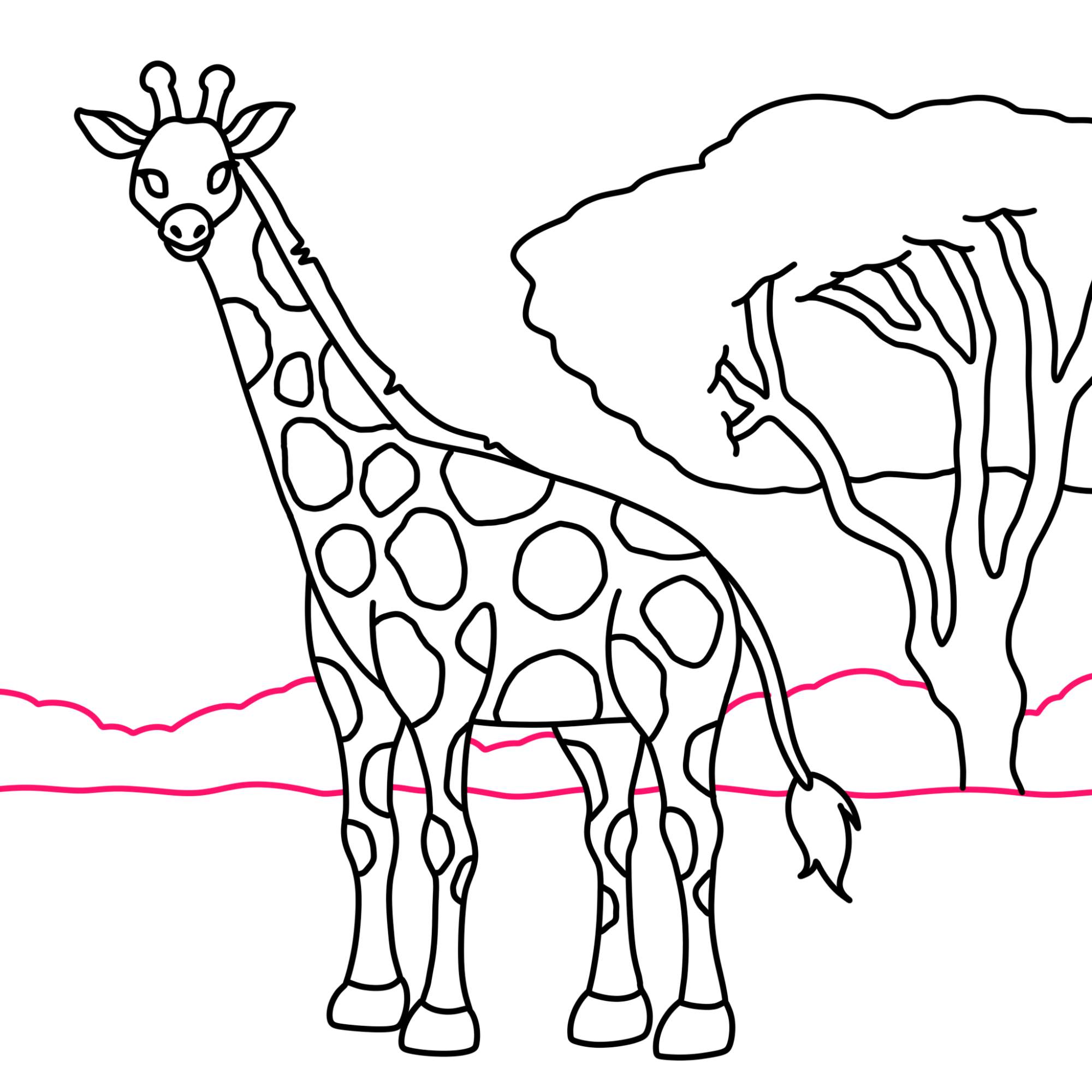 How to Draw a Giraffe - Step-14