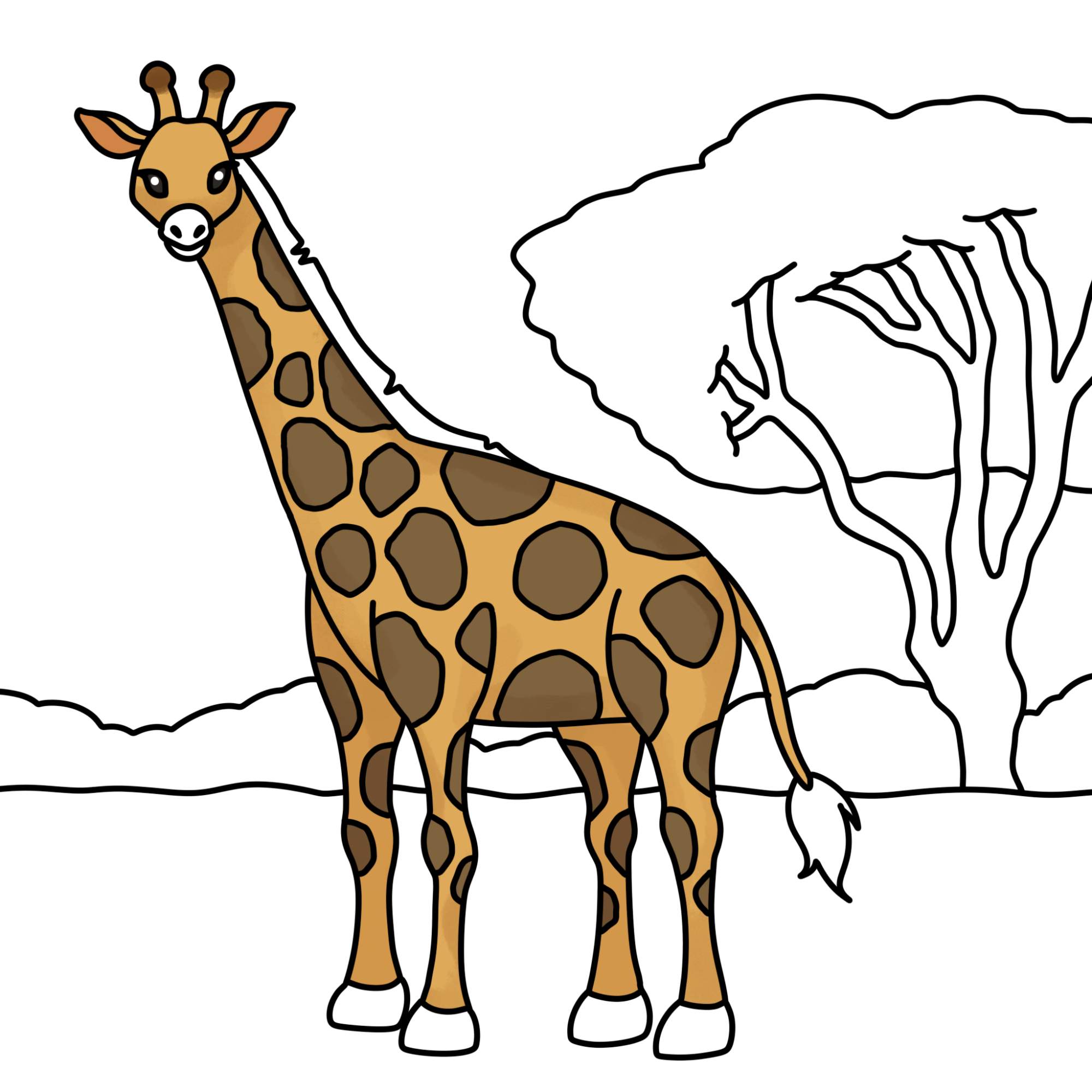 How to Draw a Giraffe - Step-16