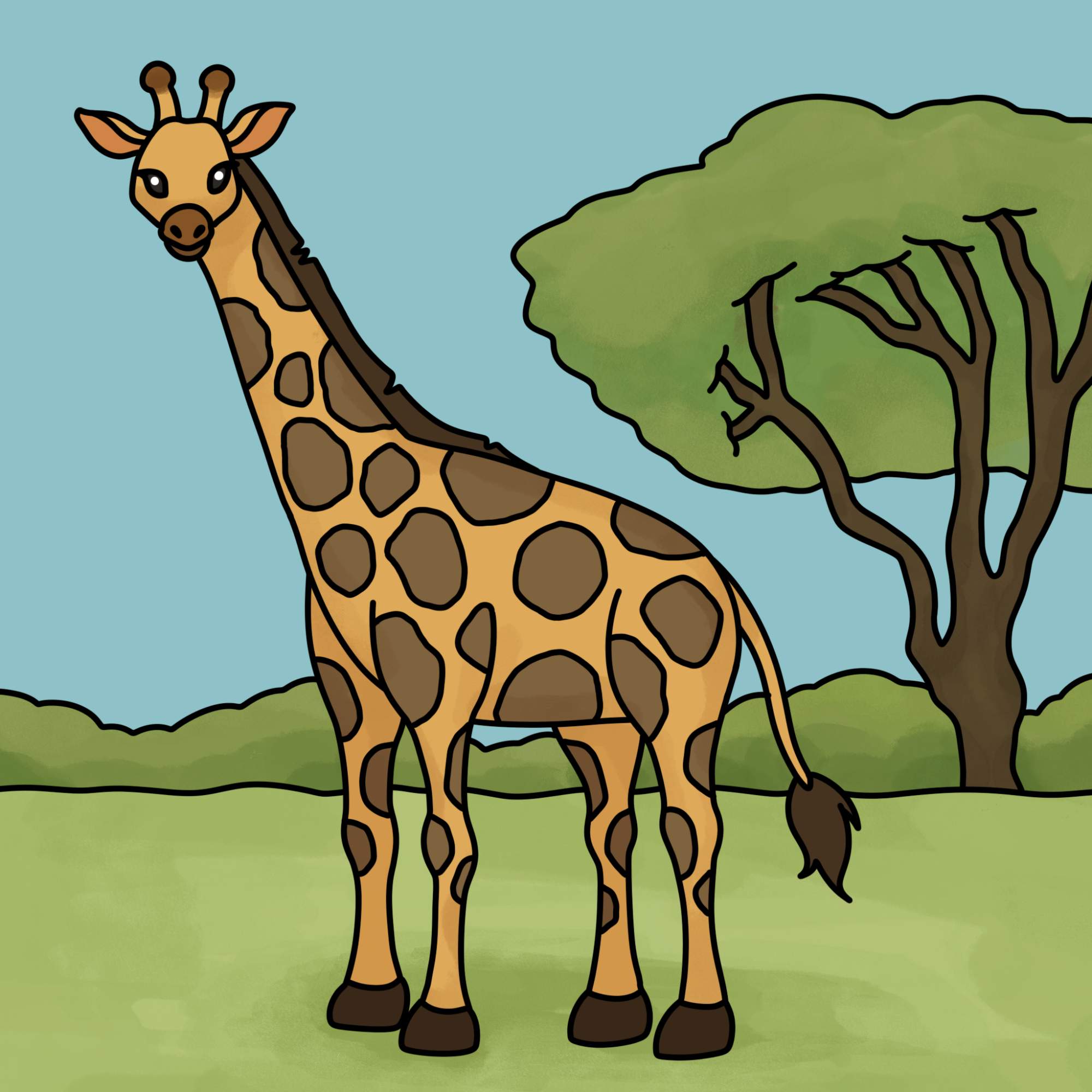 How to Draw a Giraffe - Step-18