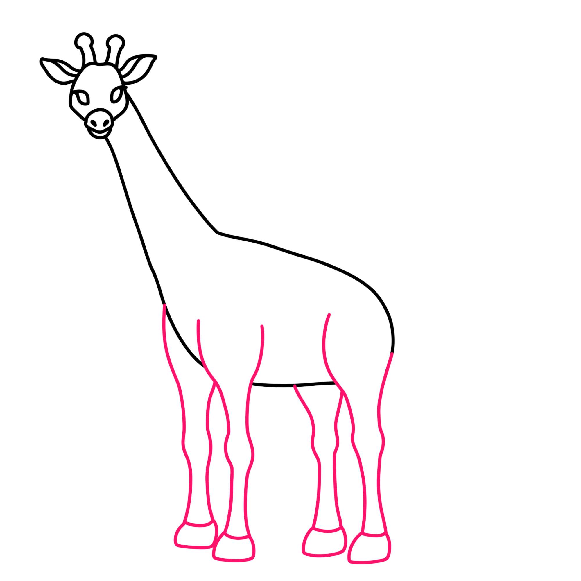 How to Draw a Giraffe - Step-8