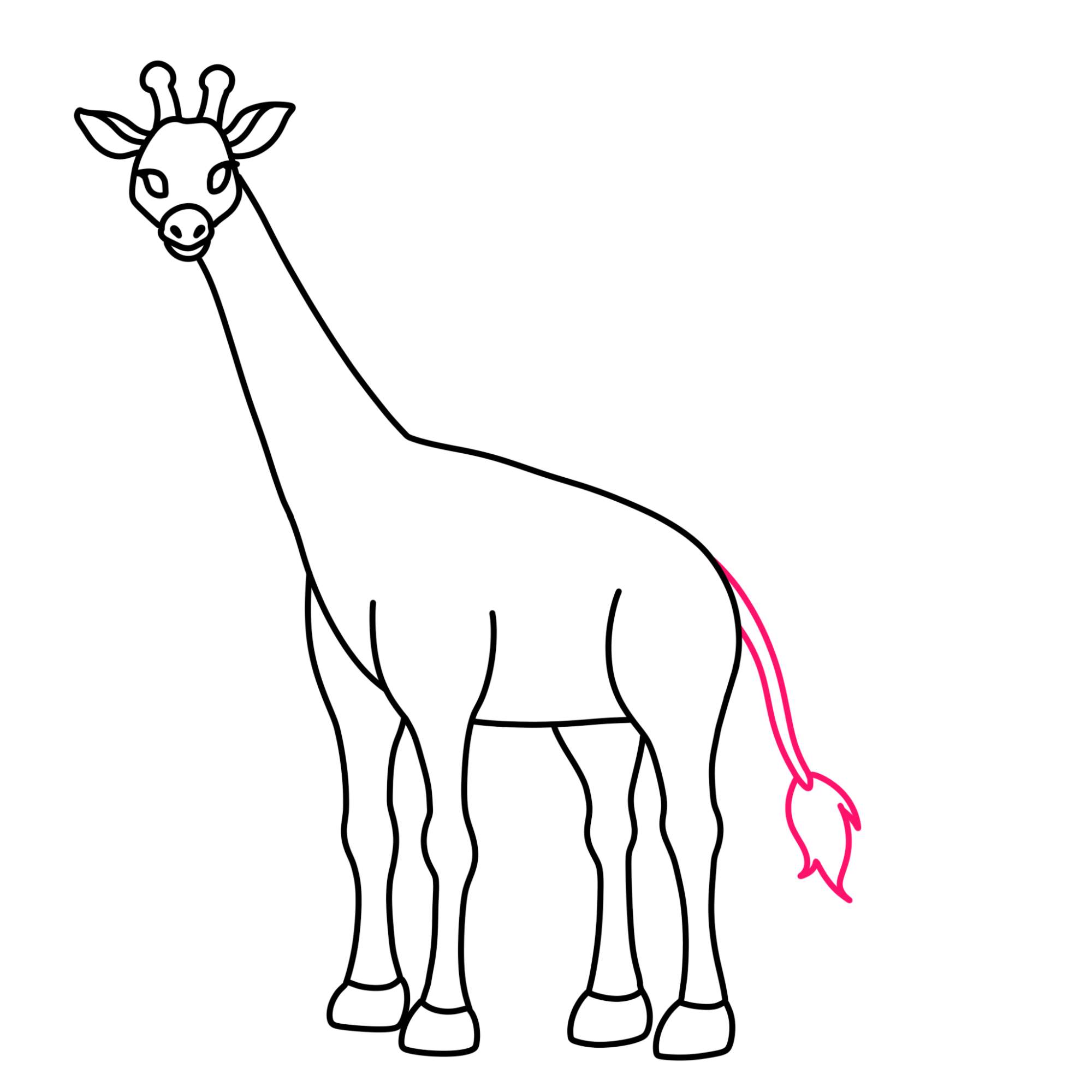 How to Draw a Giraffe - Step-9