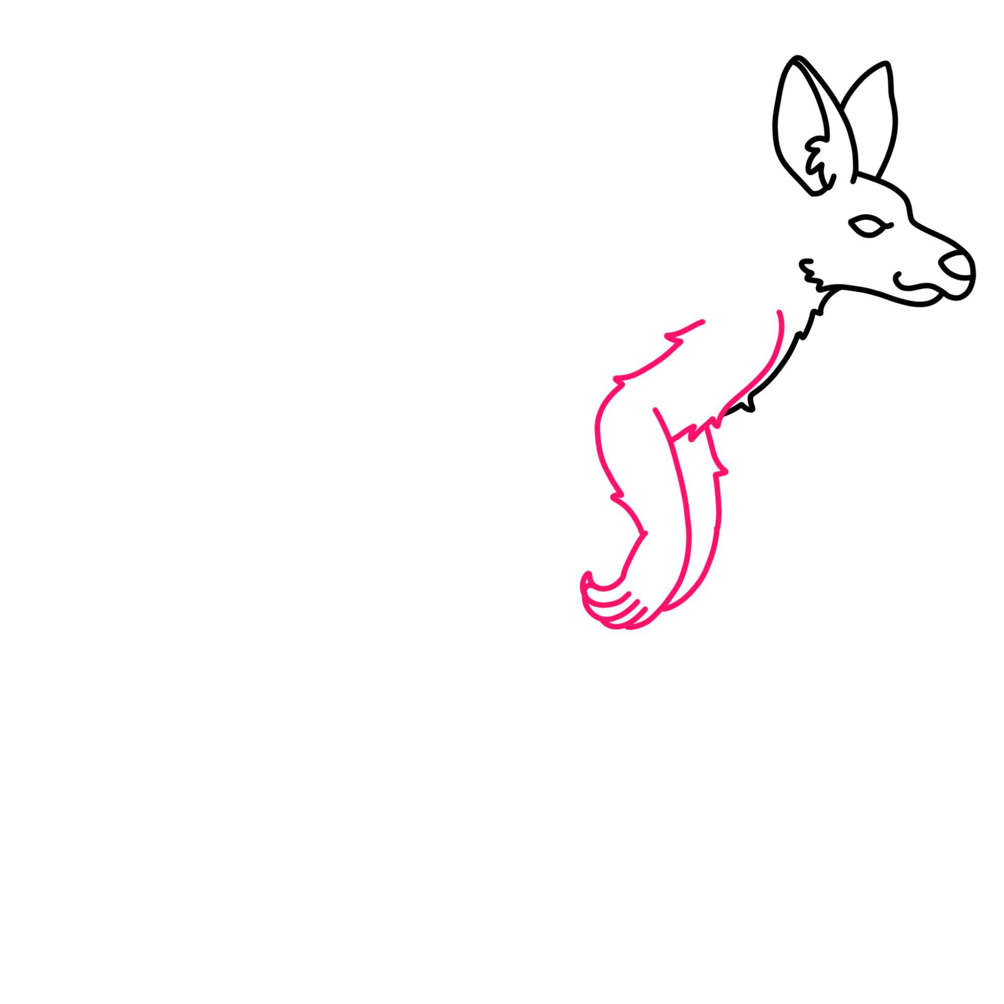 How to Draw a Kangaroo - Step-7