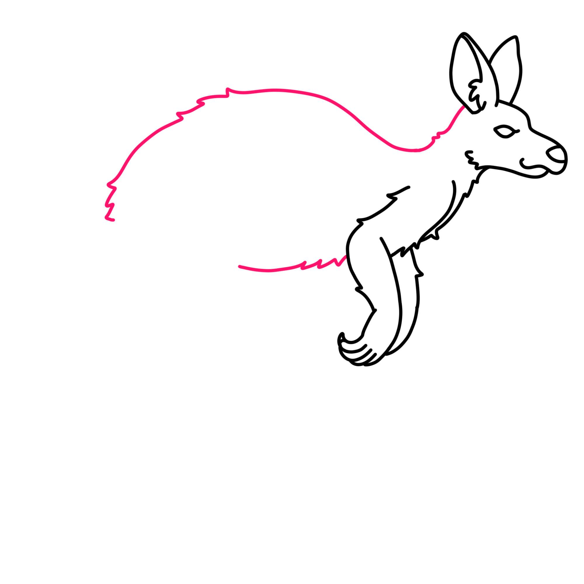 How to Draw a Kangaroo - Step-8