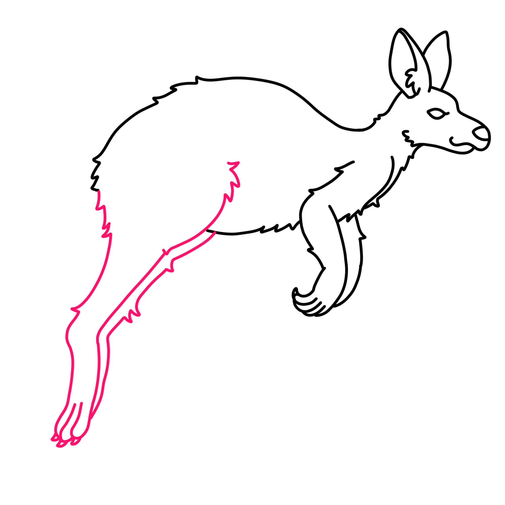 How to Draw a Kangaroo - Step-9