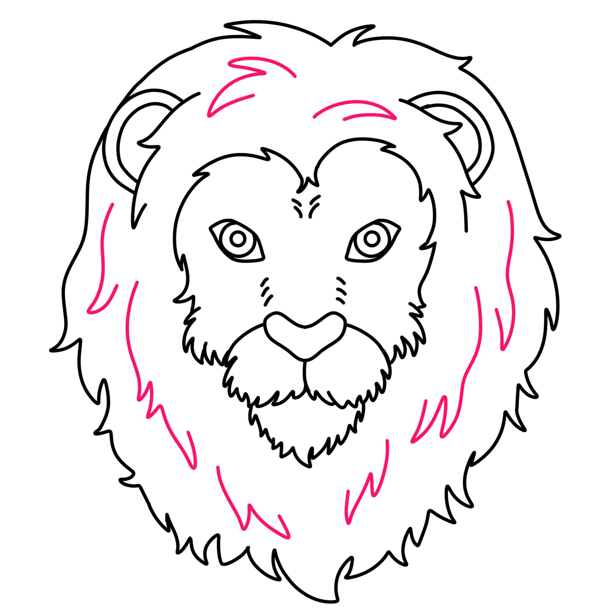 How to Draw a Lion Face - Step-10