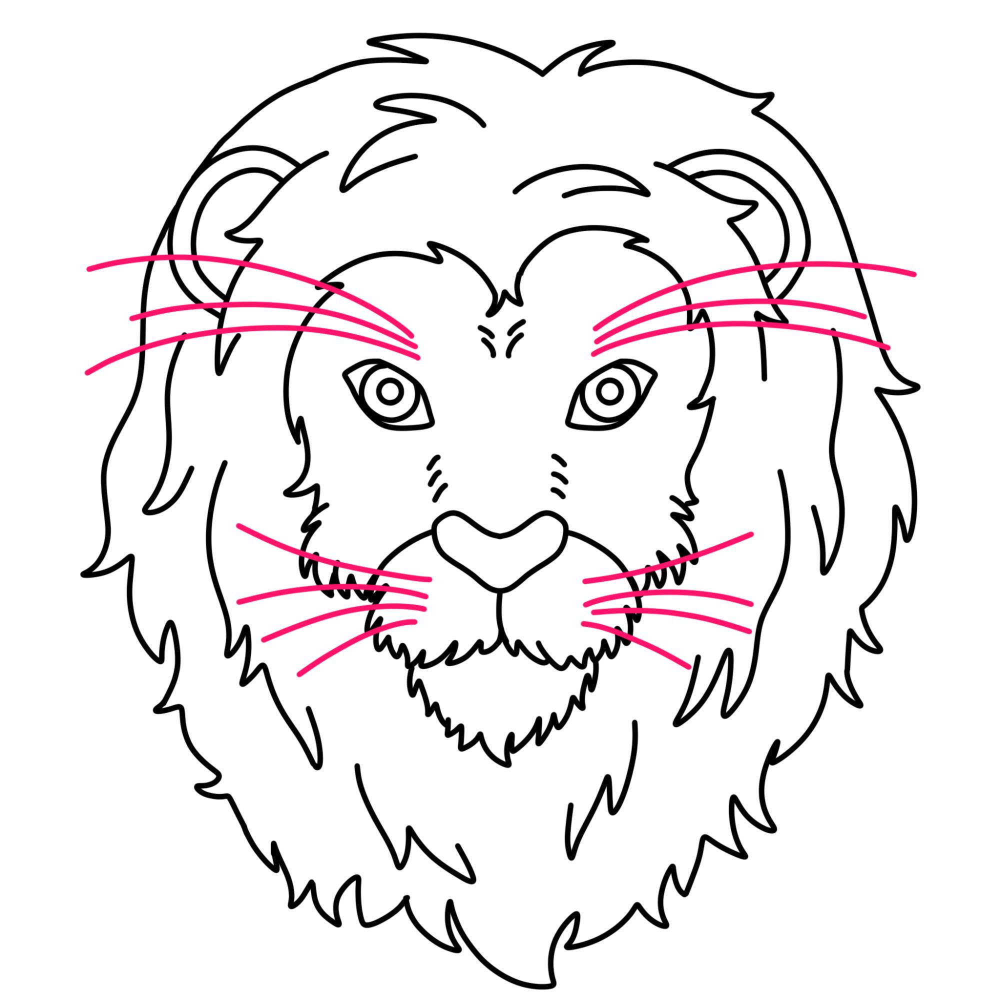 How to Draw a Lion Face - Step-11