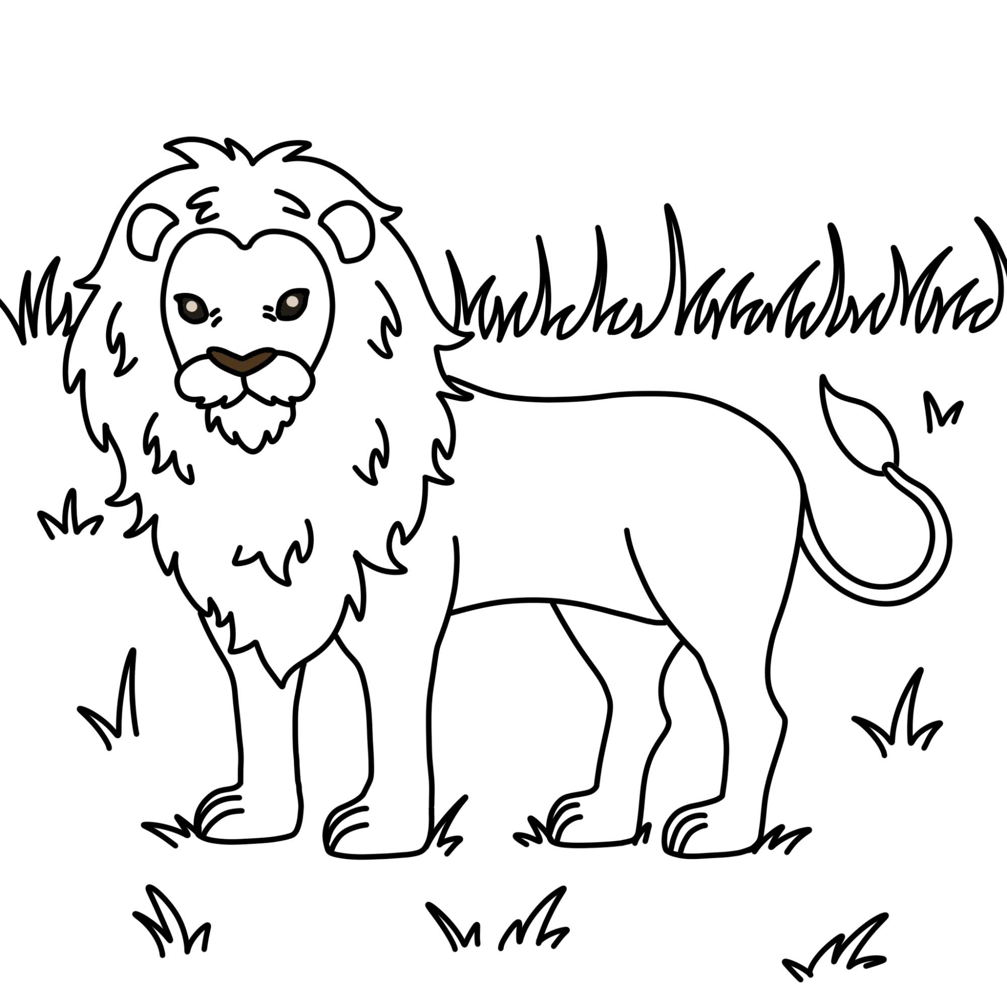 How to Draw a Lion - Step-12