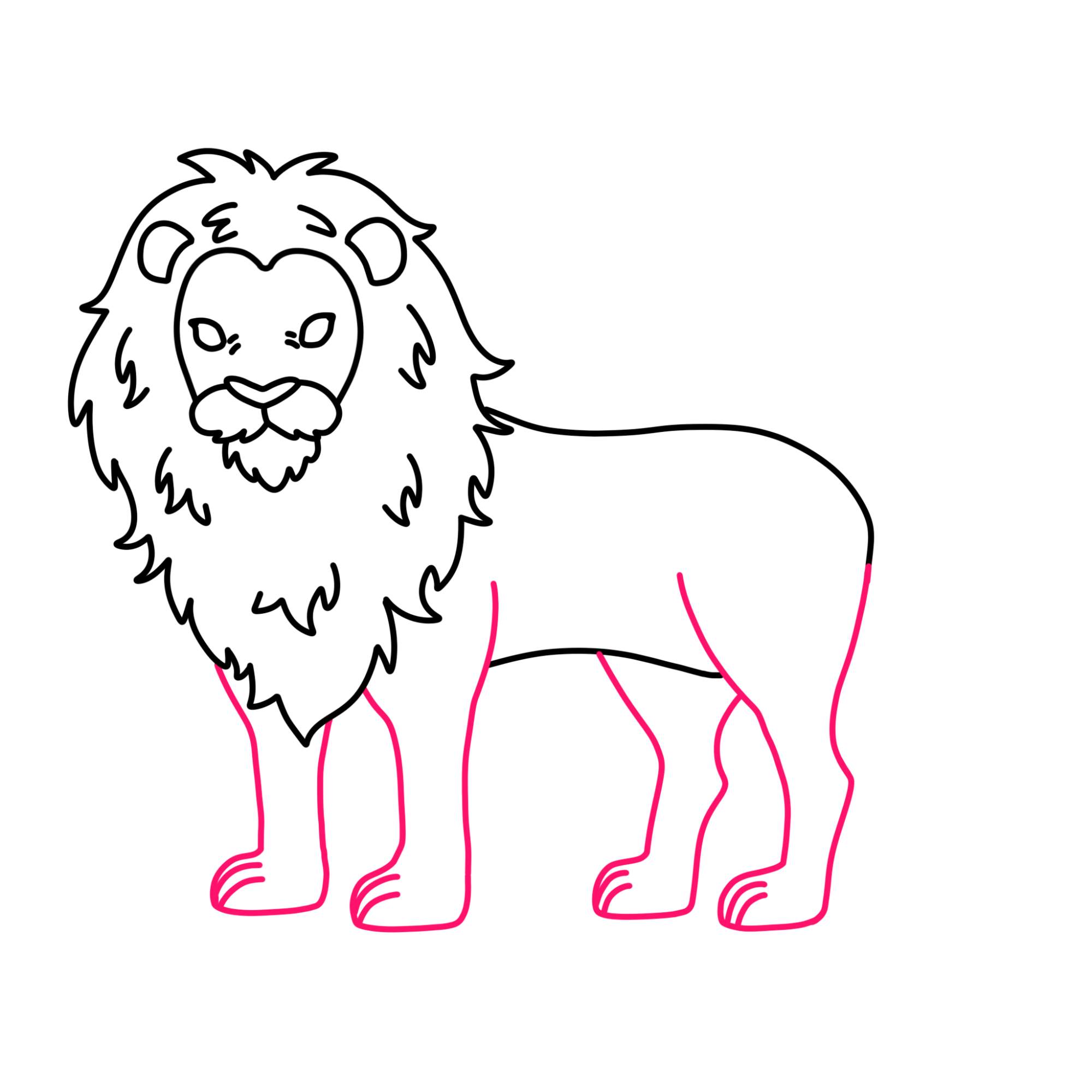 How to Draw a Lion - Step-8