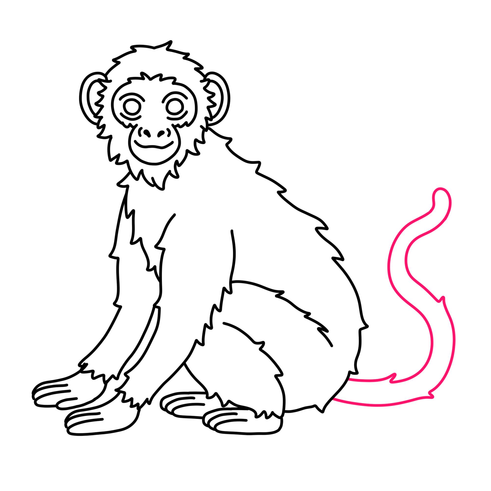 How to Draw a Monkey (easy) - Step-11