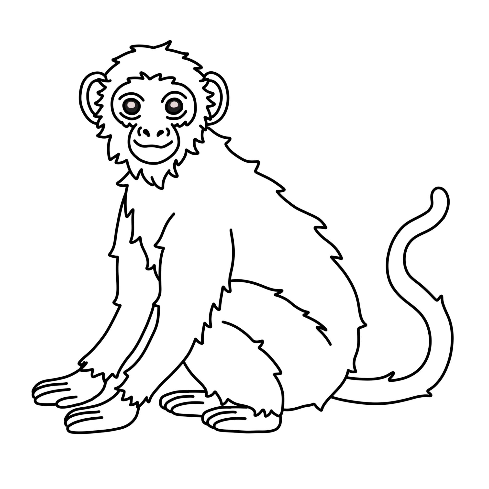 How to Draw a Monkey (easy) - Step-12