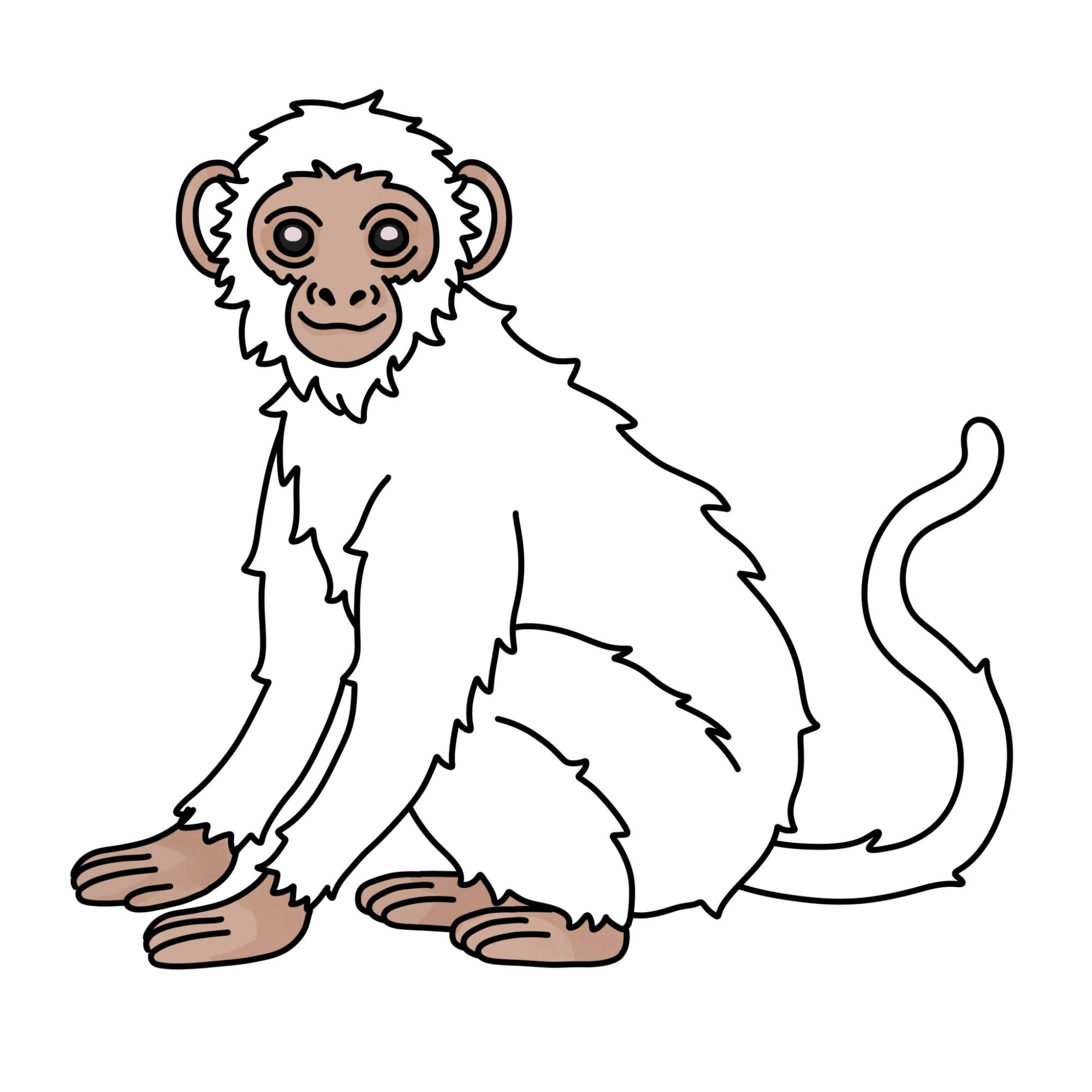 How to Draw a Monkey (easy) - Step-13