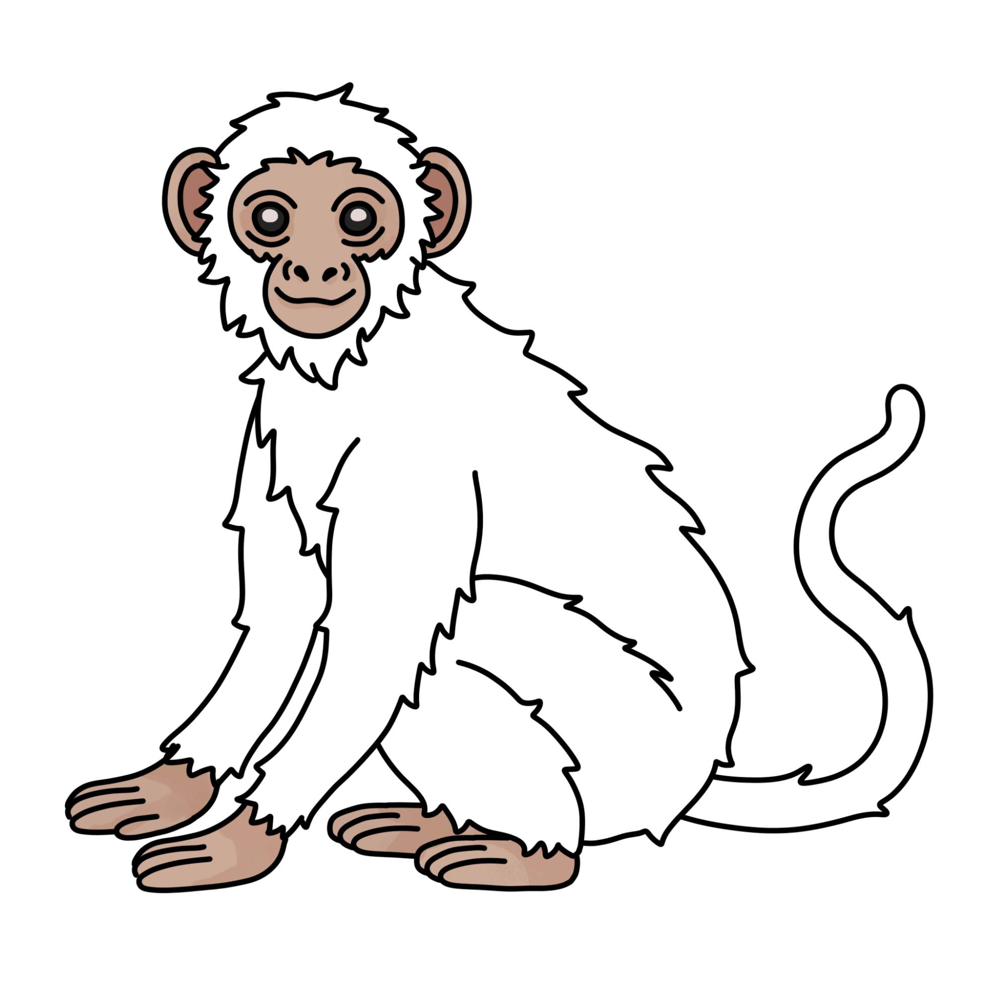 How to Draw a Monkey (easy) - Step-14