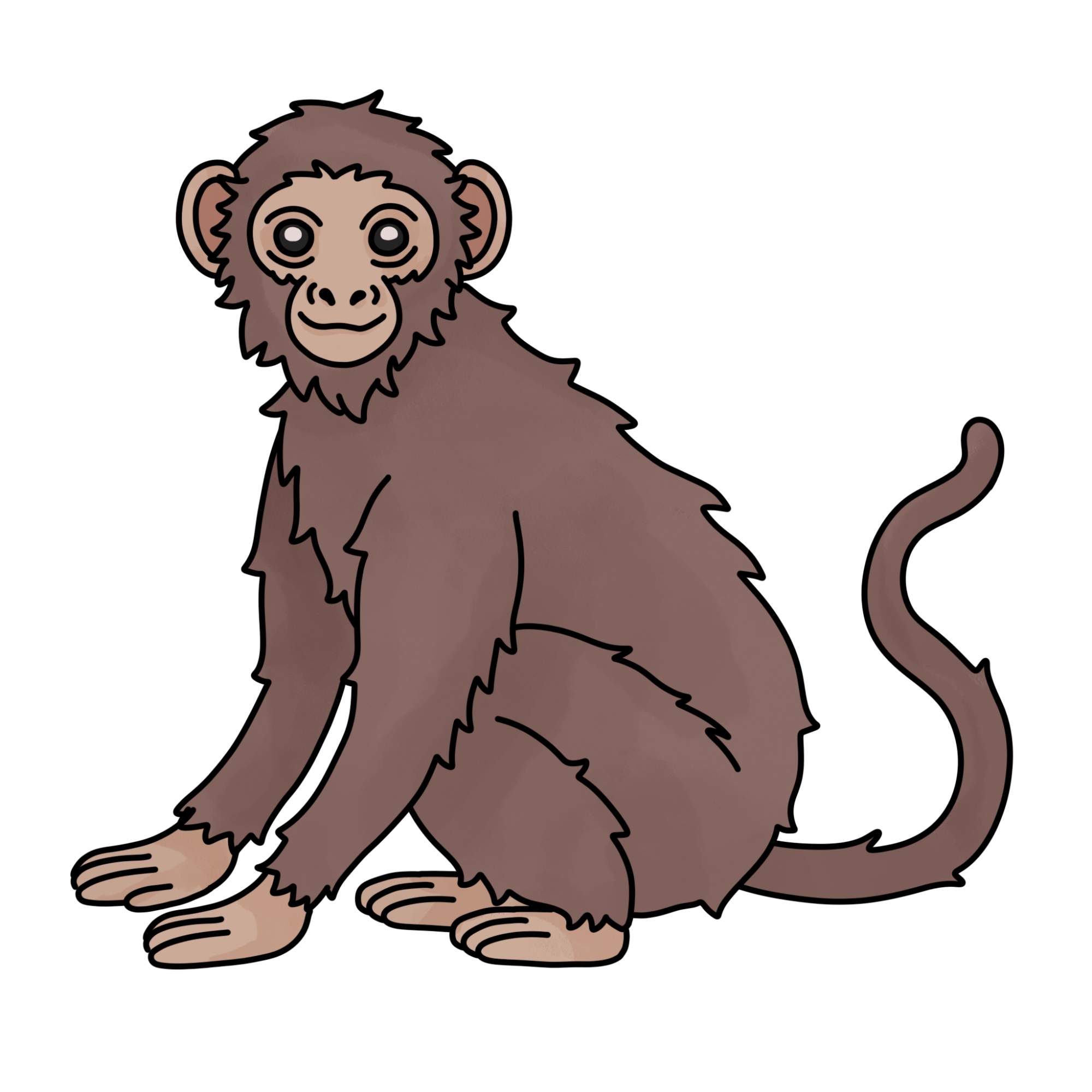 How to Draw a Monkey (easy) - Step-15