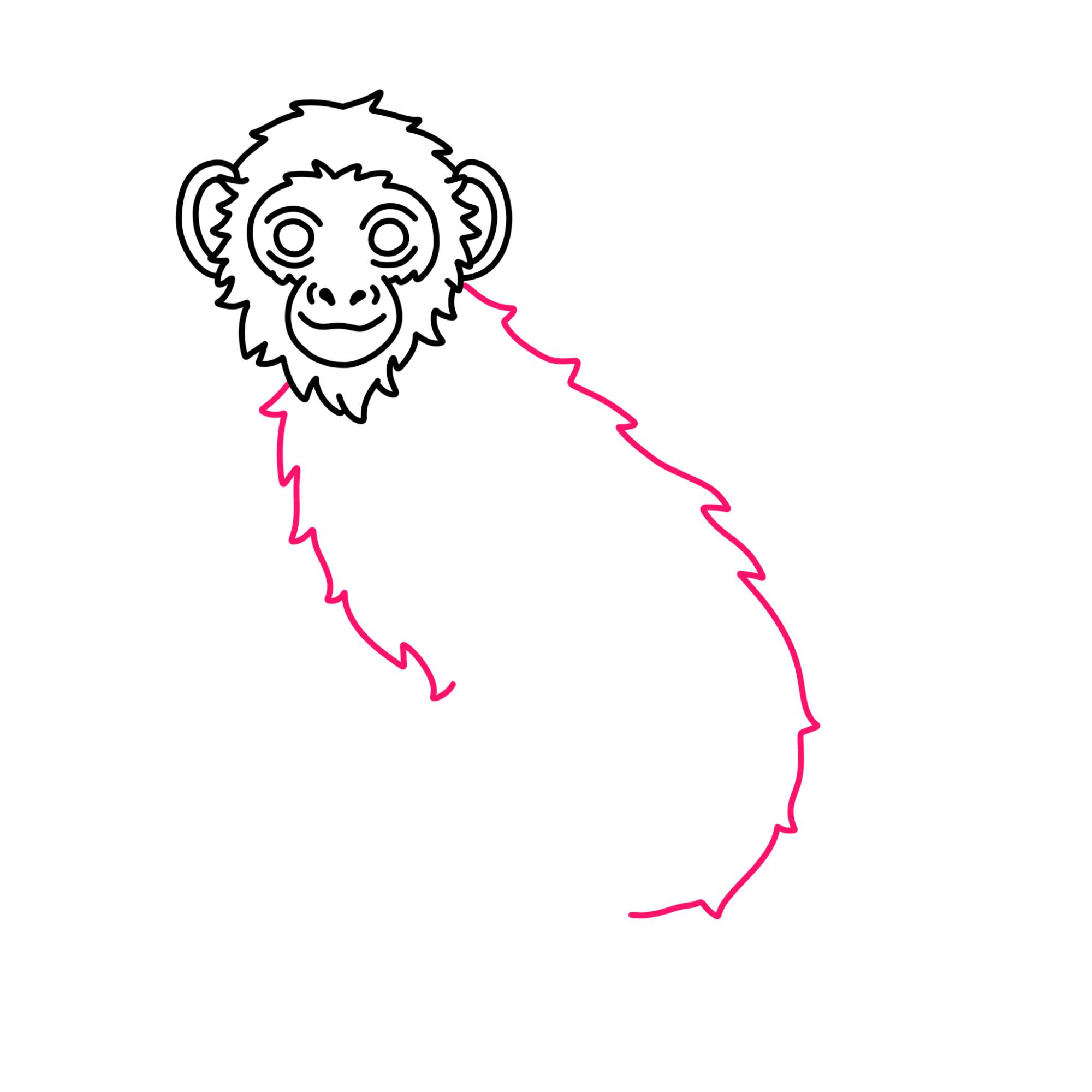 How to Draw a Monkey (easy) - Step-7