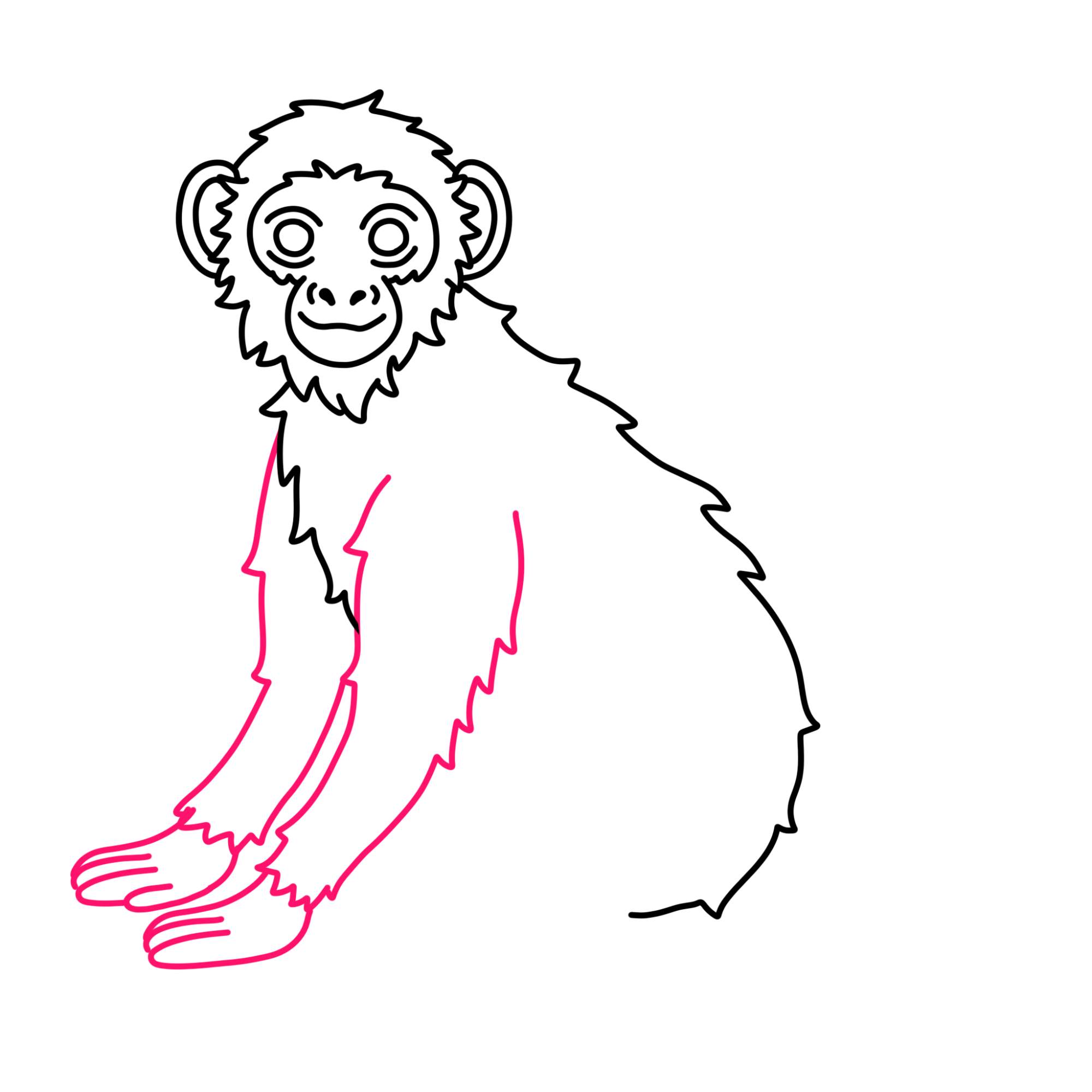 How to Draw a Monkey (easy) - Step-8