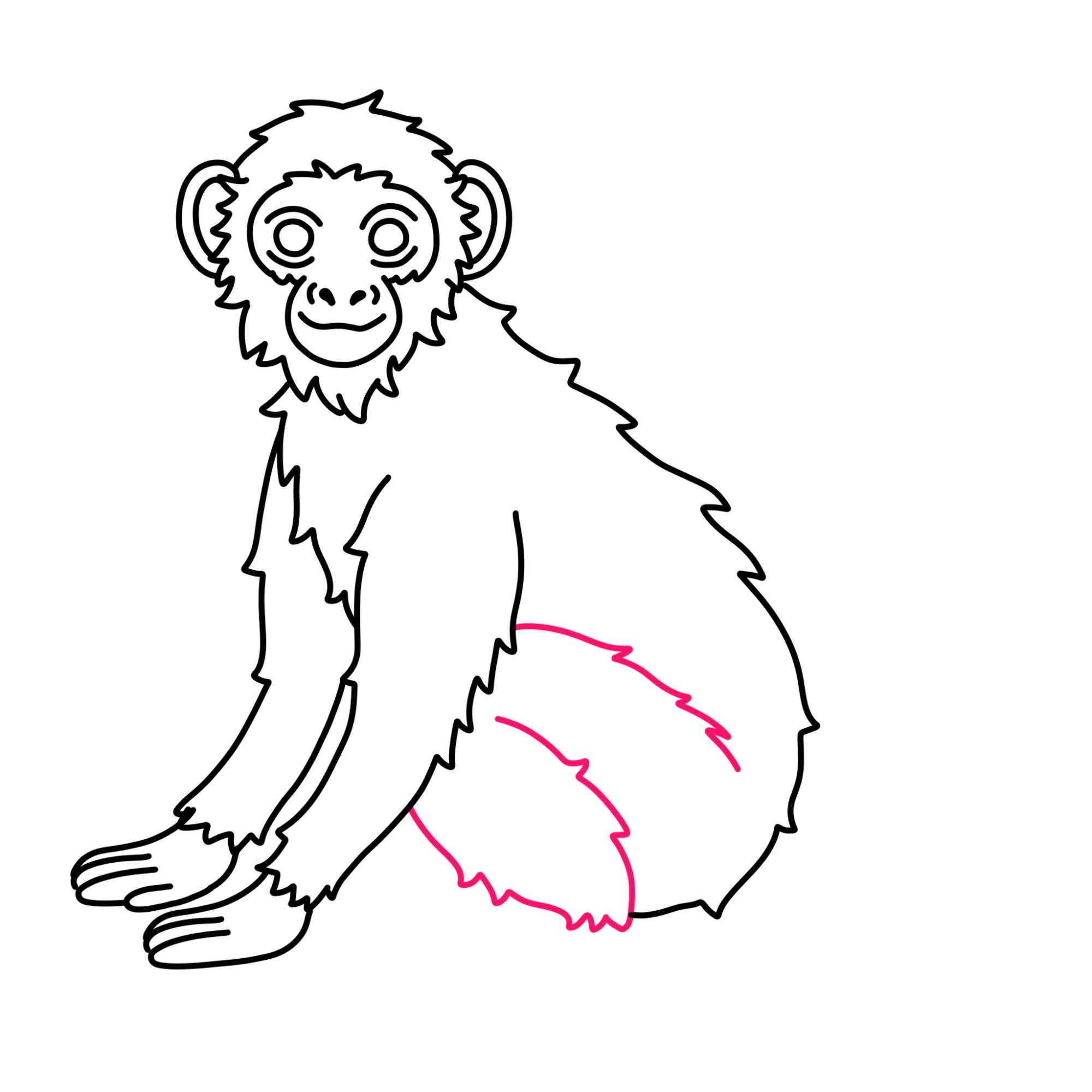 How to Draw a Monkey (easy) - Step-9