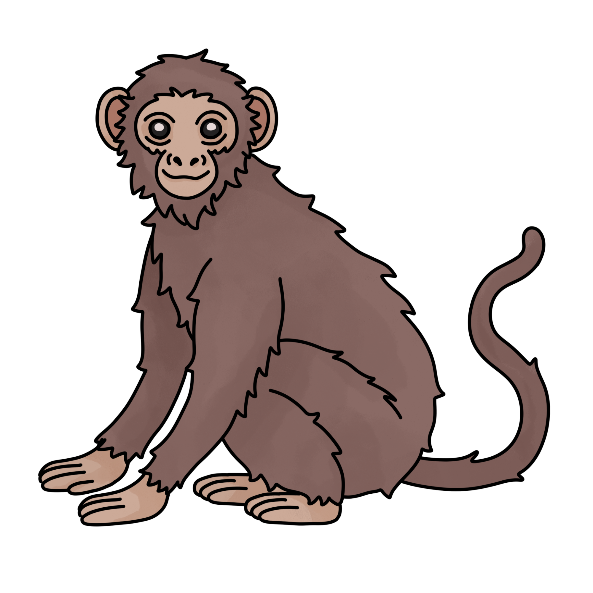 How to Draw a Monkey (easy)