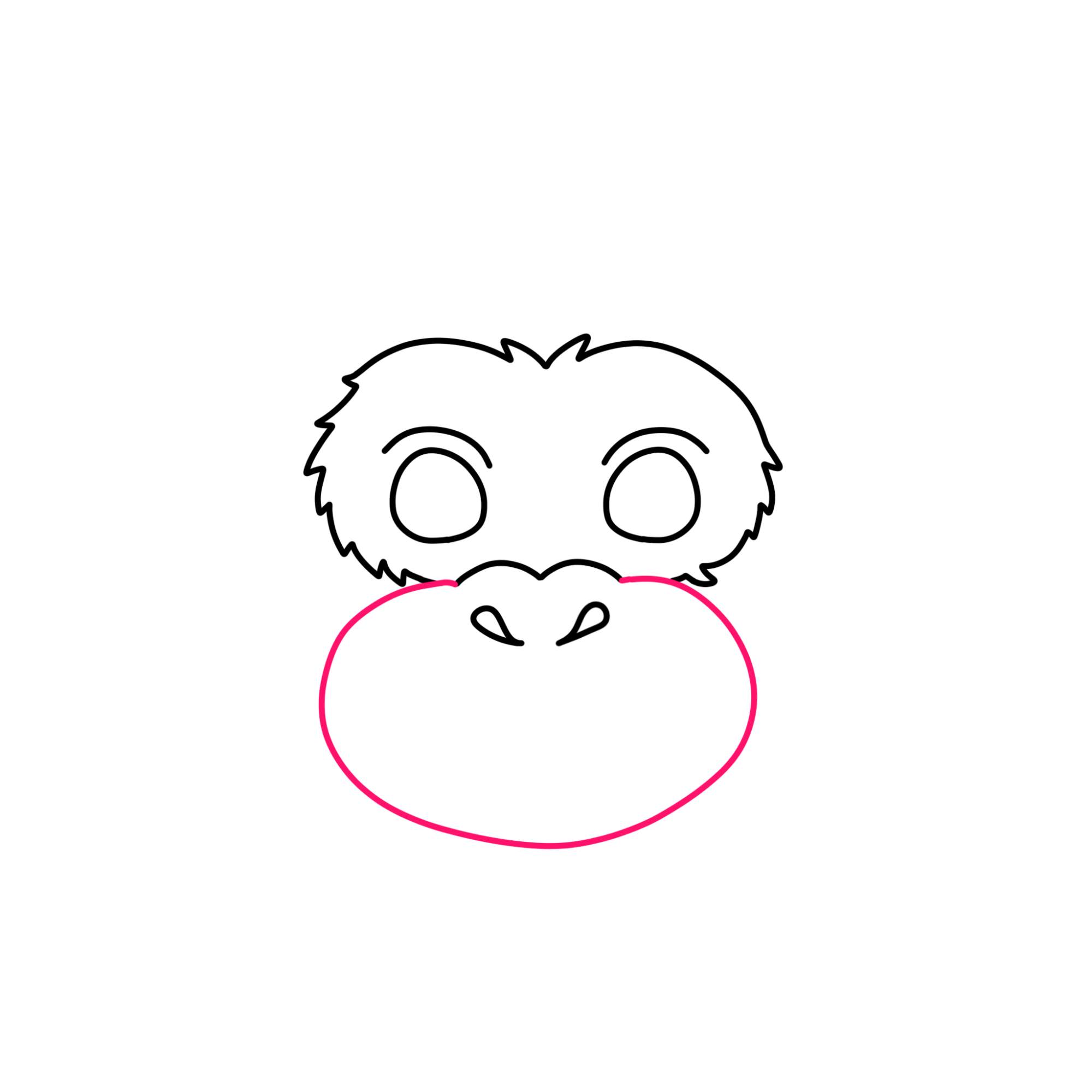 How to Draw a Monkey Face - Step-4