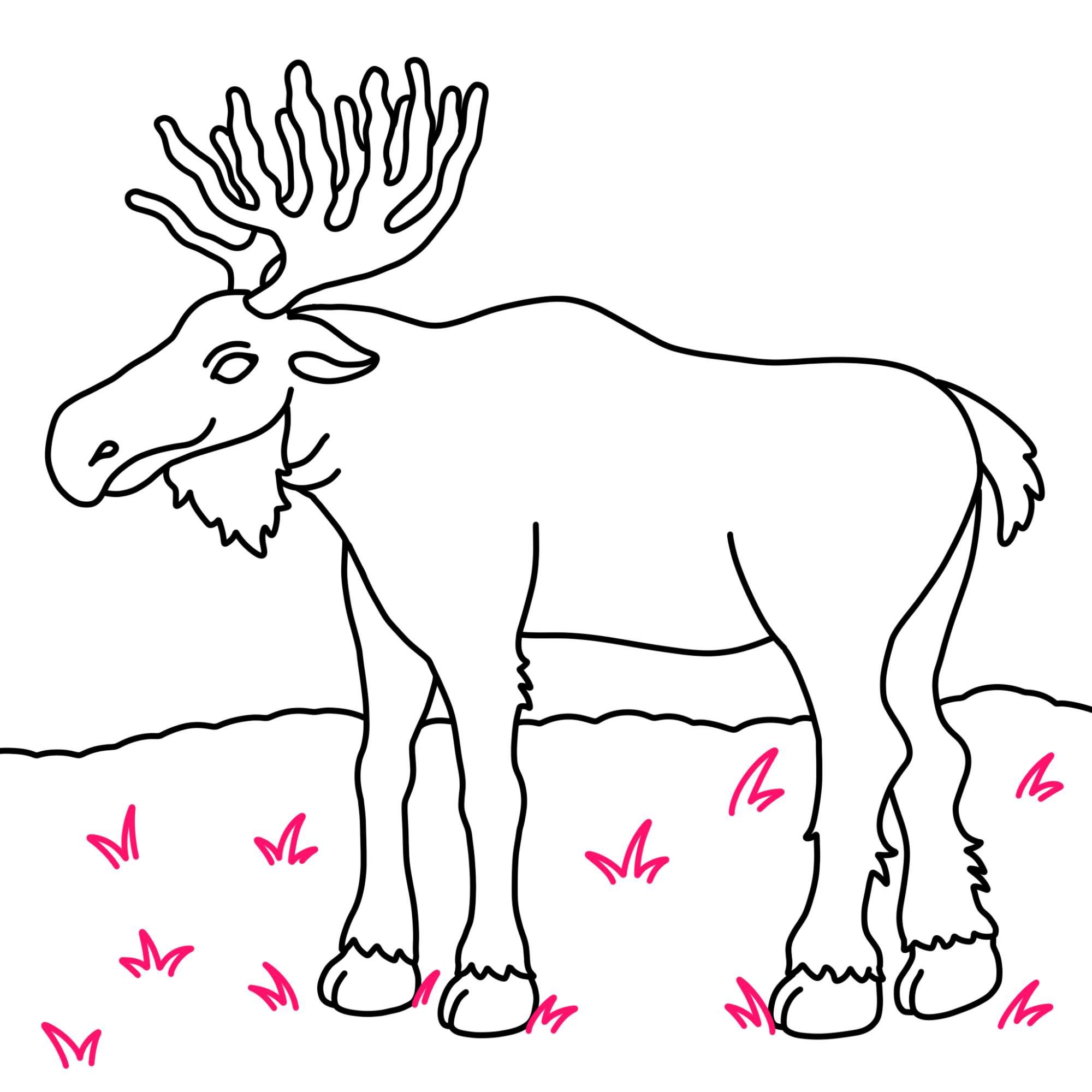 How to Draw a Moose - Step-13