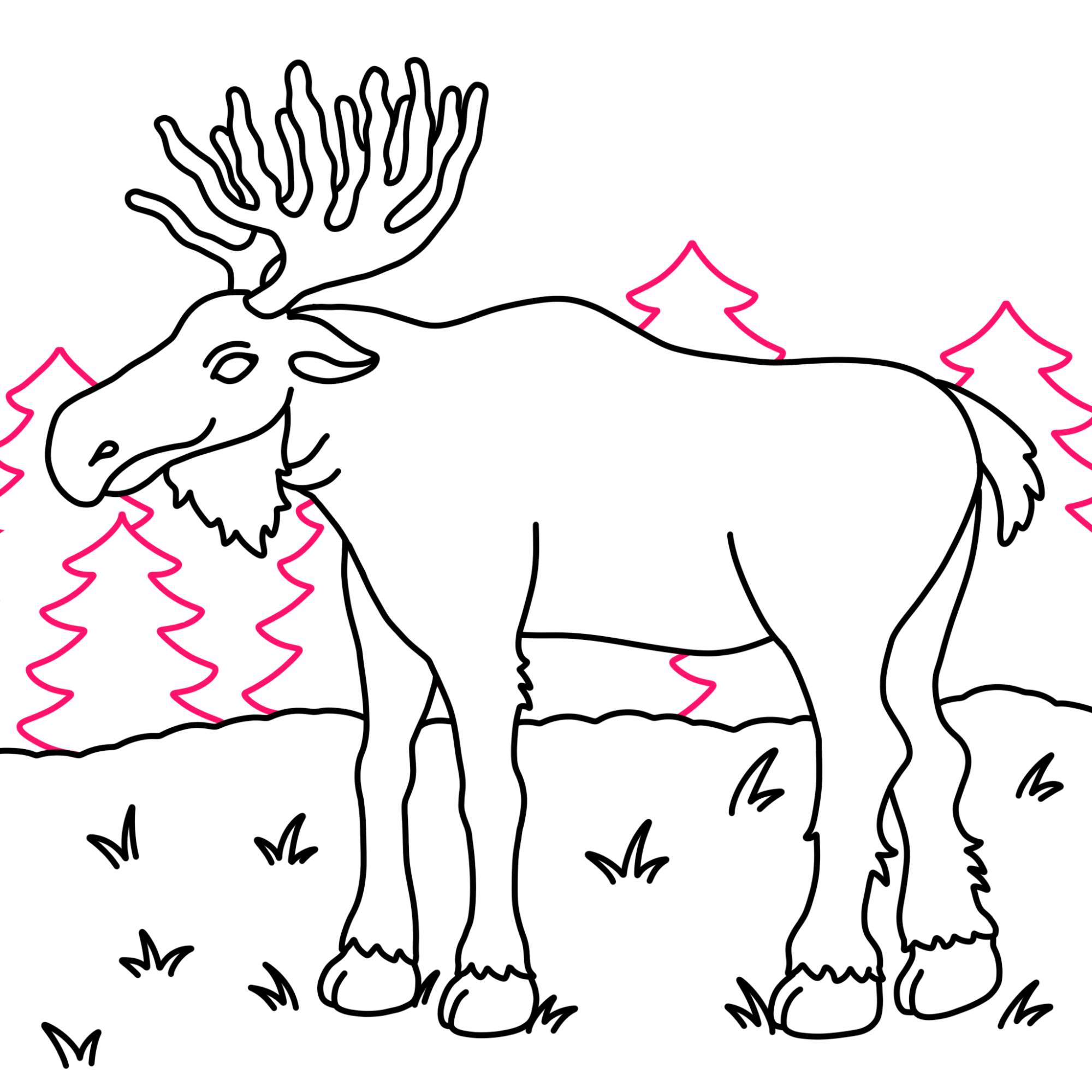 How to Draw a Moose - Step-14