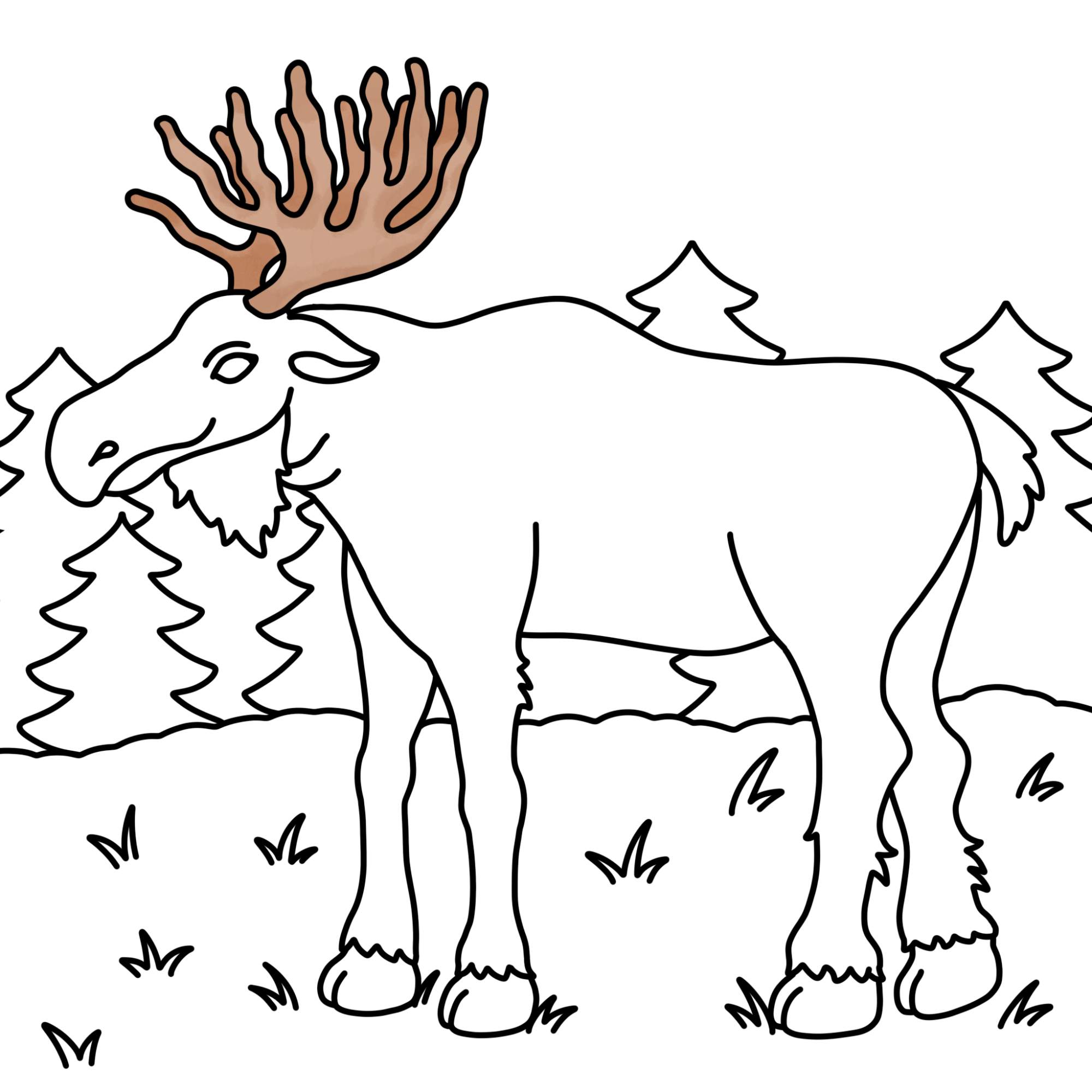 How to Draw a Moose - Step-15