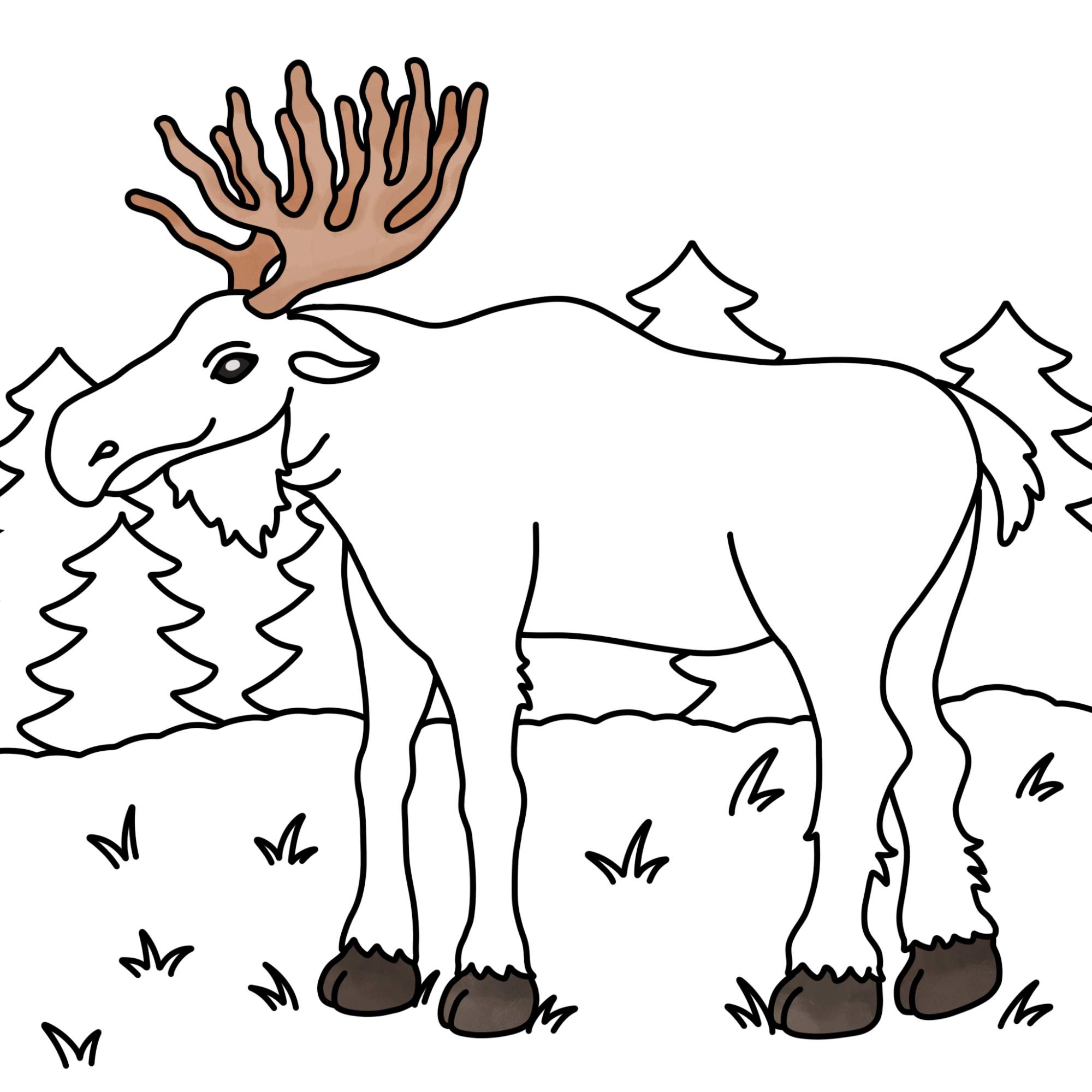 How to Draw a Moose - Step-16