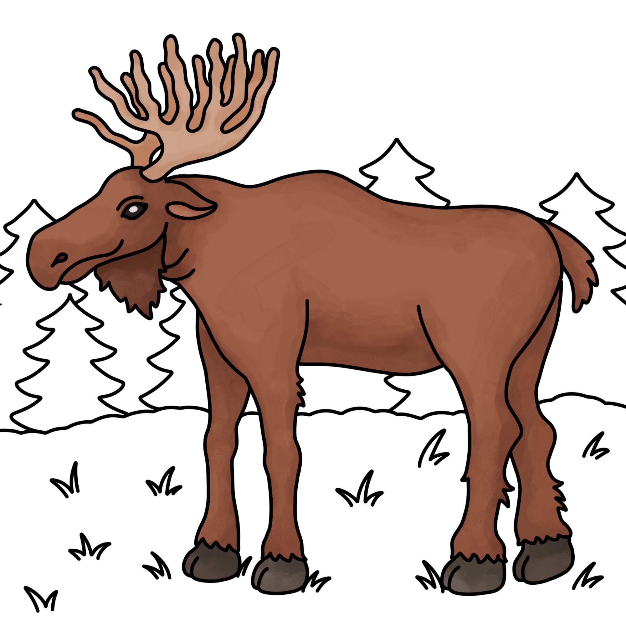 How to Draw a Moose - Step-17