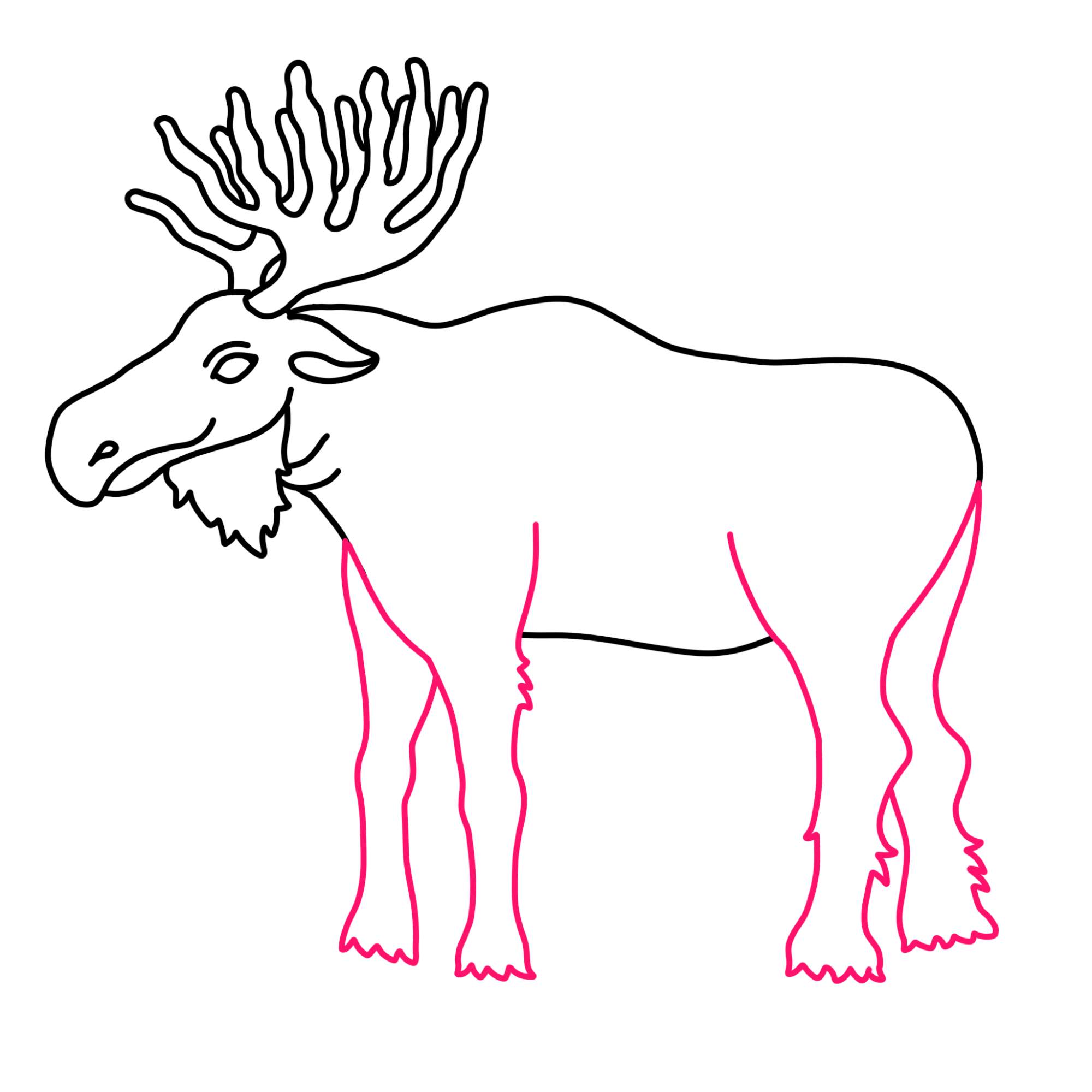 How to Draw a Moose - Step-9