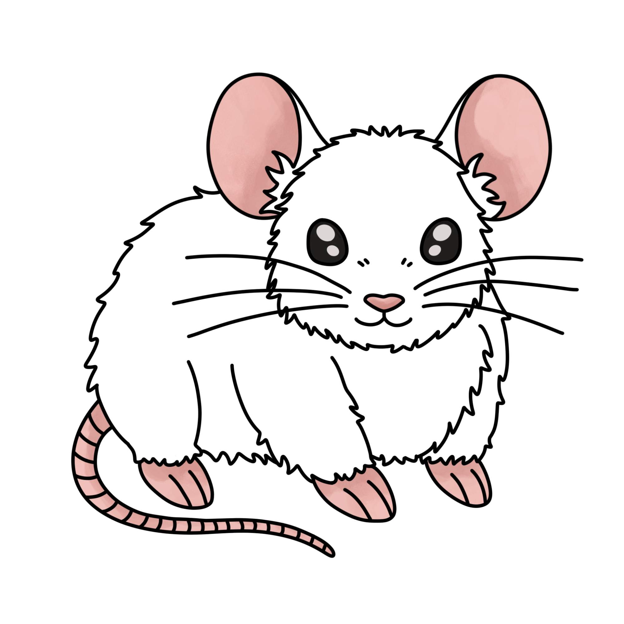 How to Draw a Mouse - Step-13