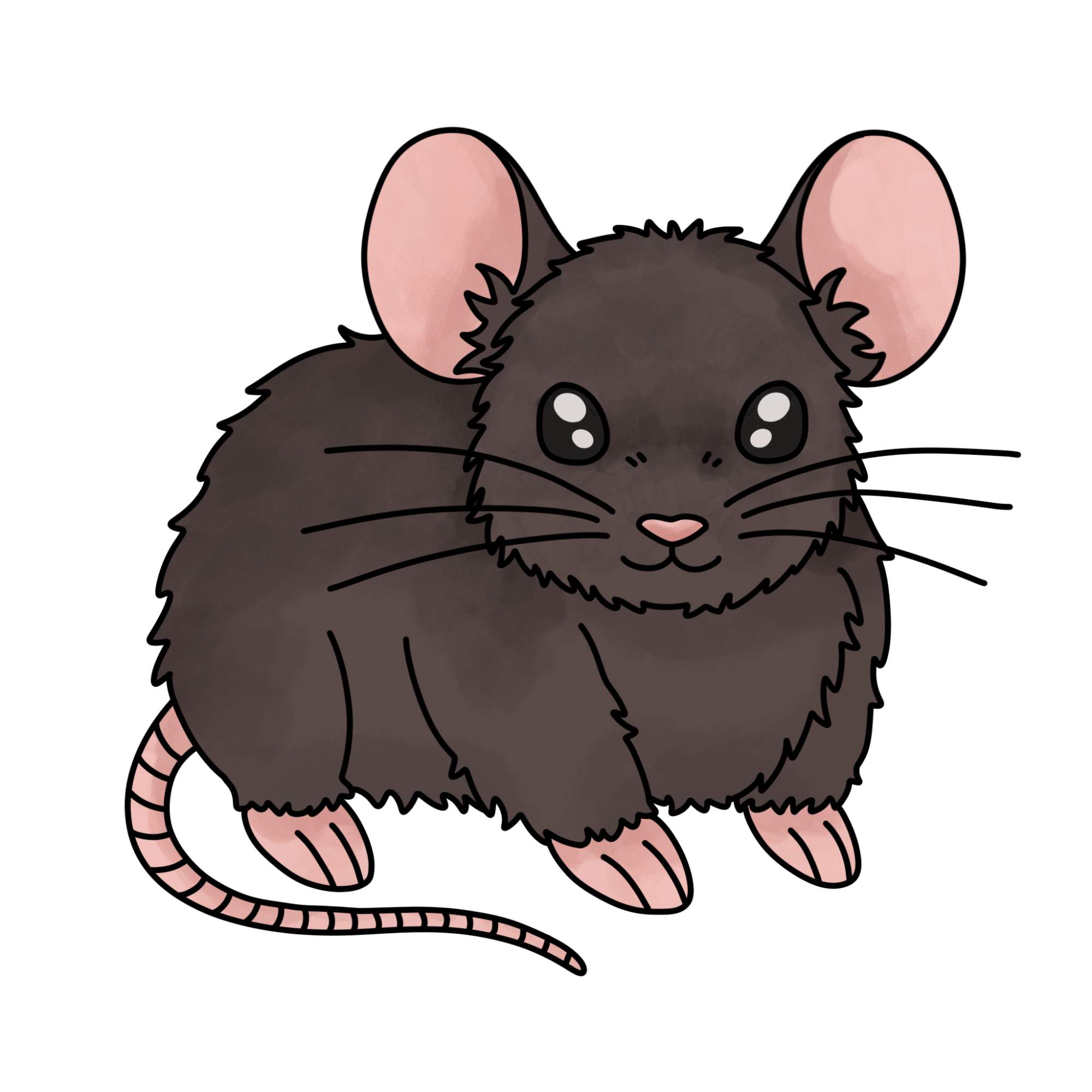 How to Draw a Mouse - Step-14