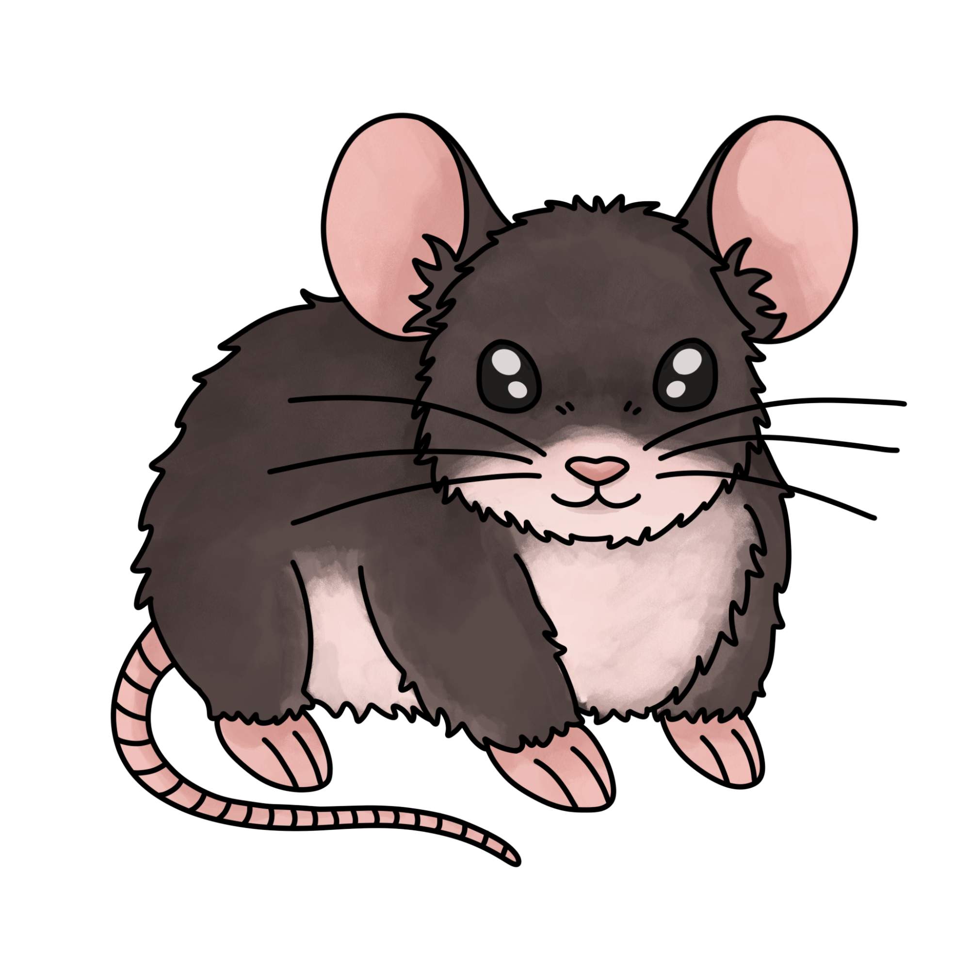 How to Draw a Mouse - Step-15