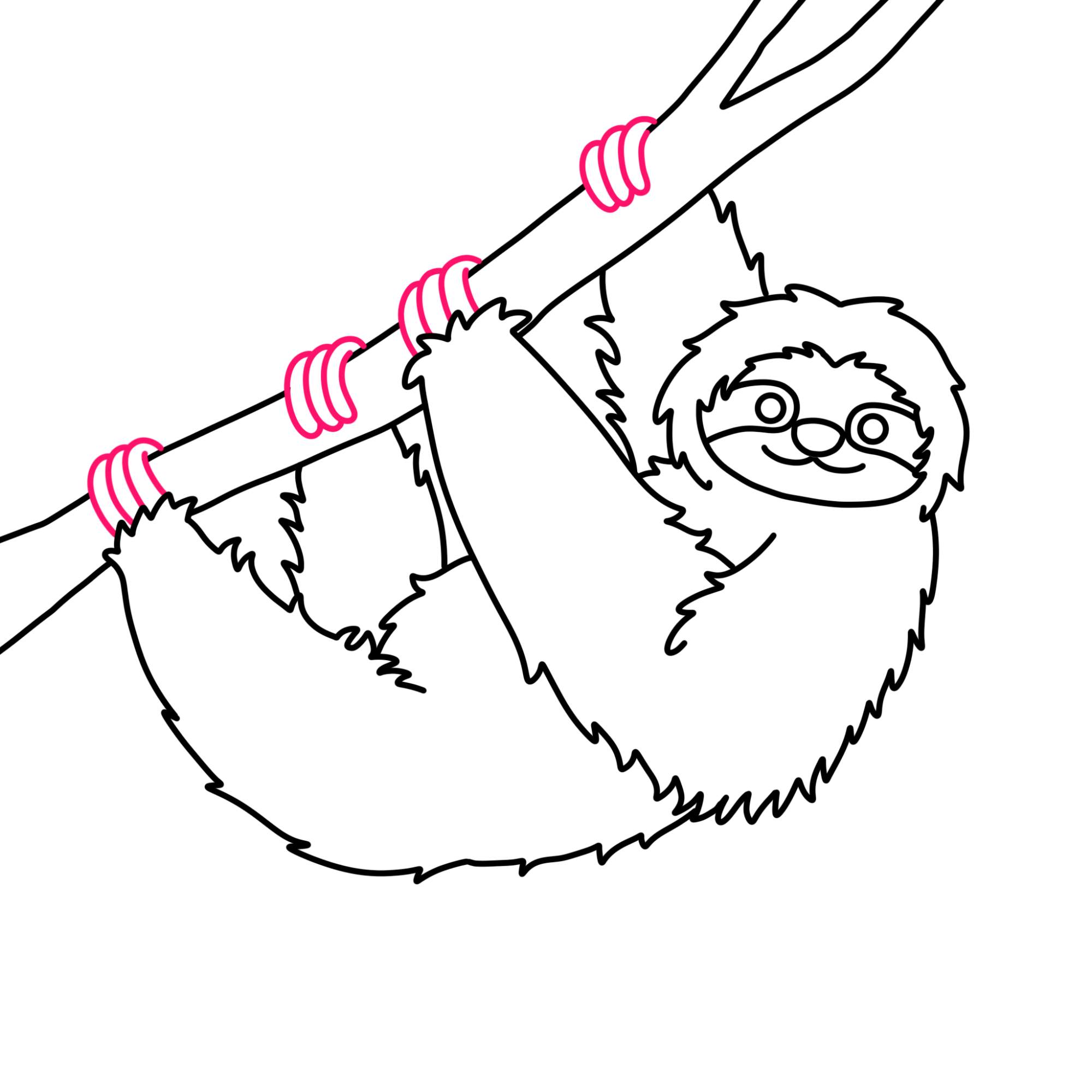 How to Draw a Sloth - Step-10