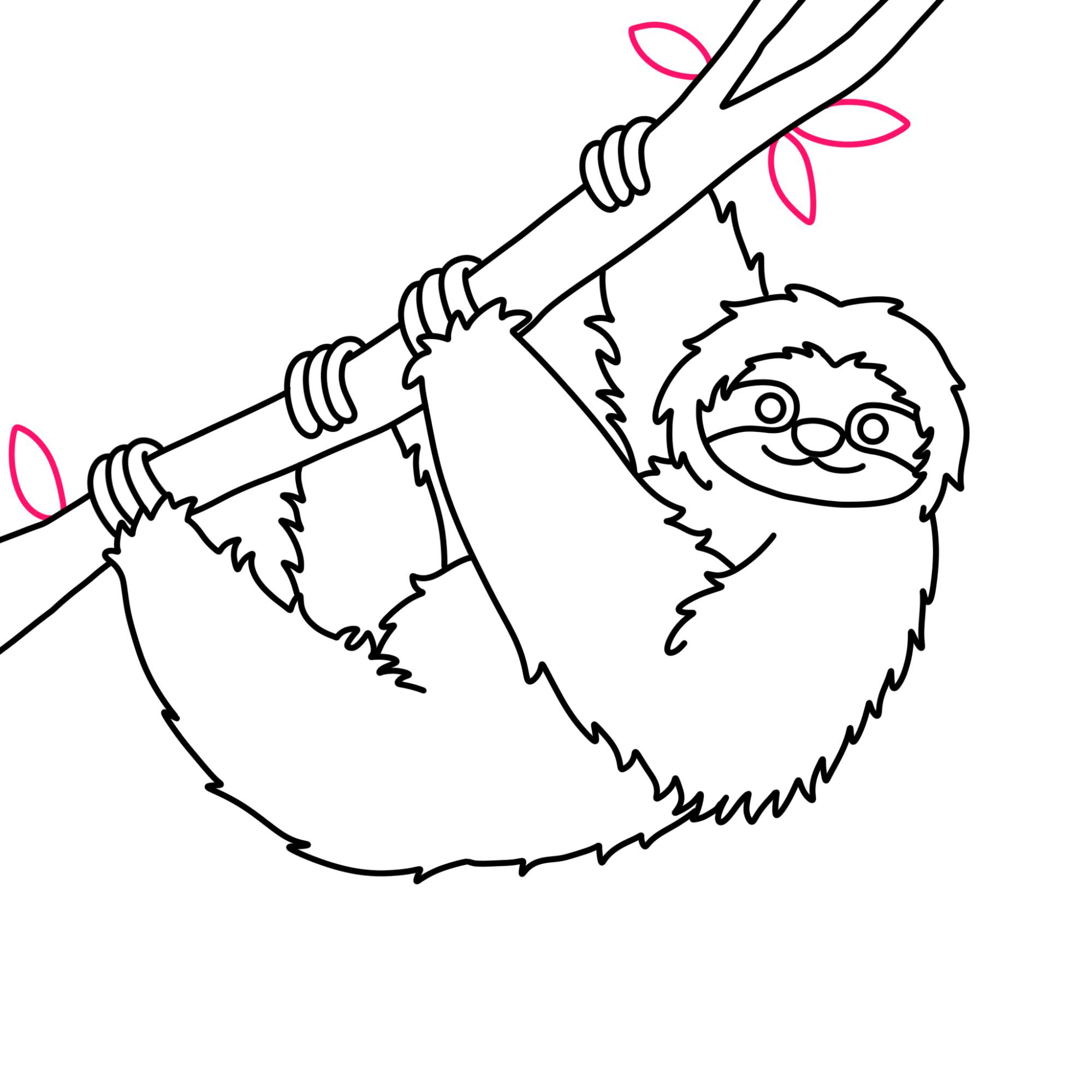 How to Draw a Sloth - Step-11