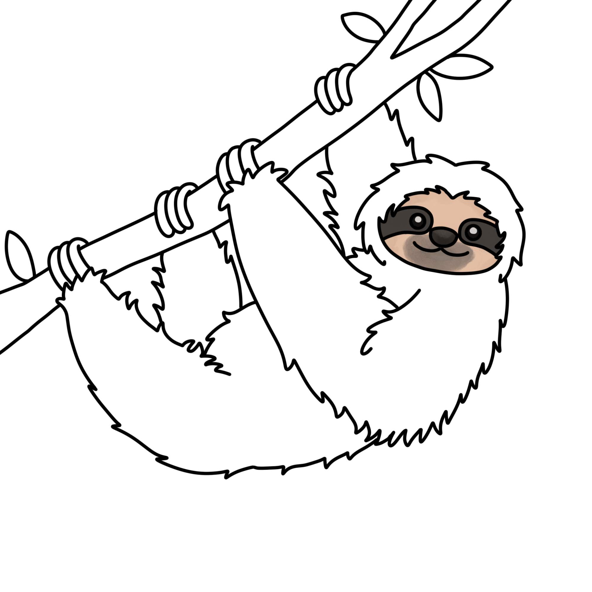 How to Draw a Sloth - Step-12